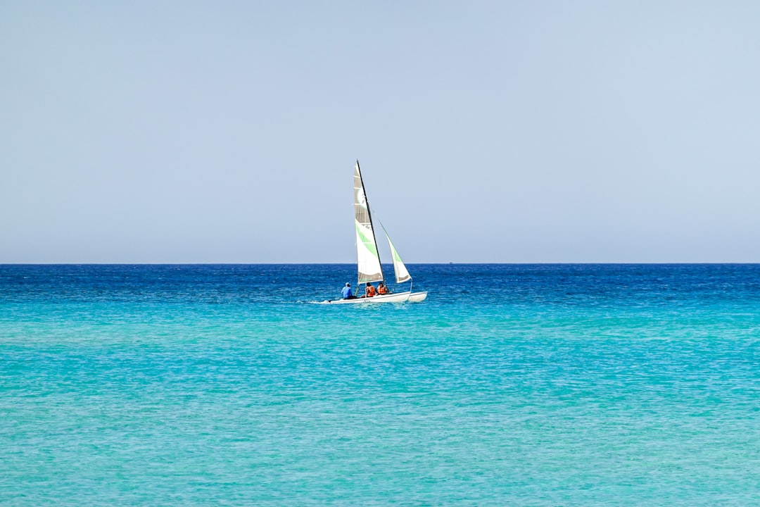 white sail boat on sea during daytime