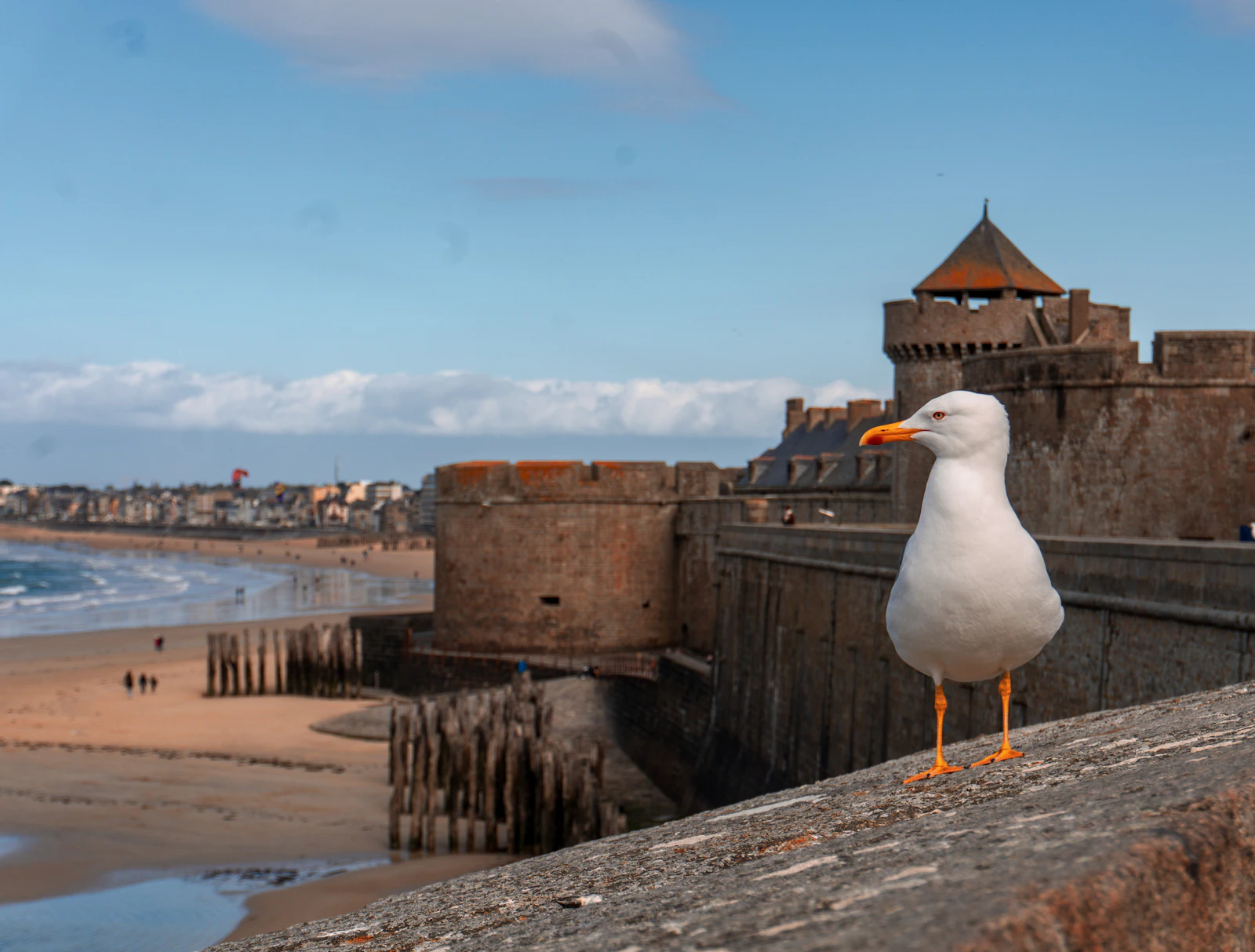Saint-Malo