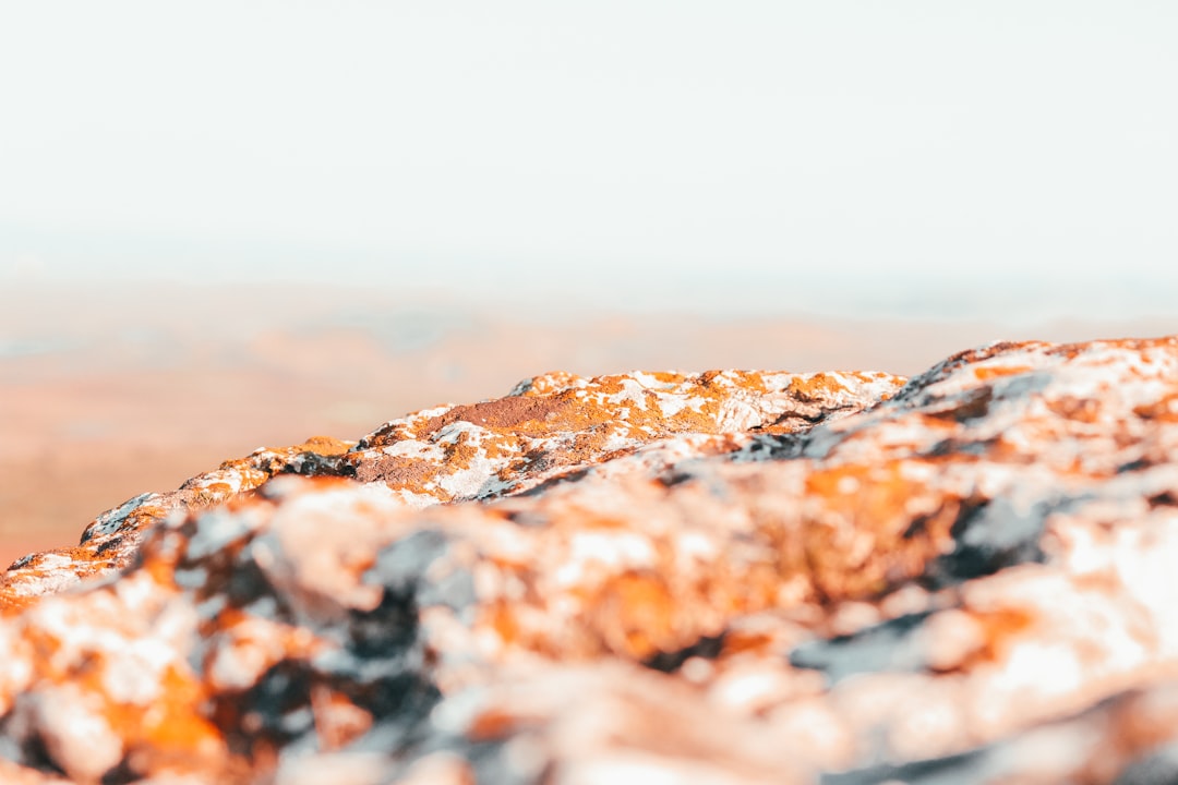 brown and gray rock formation