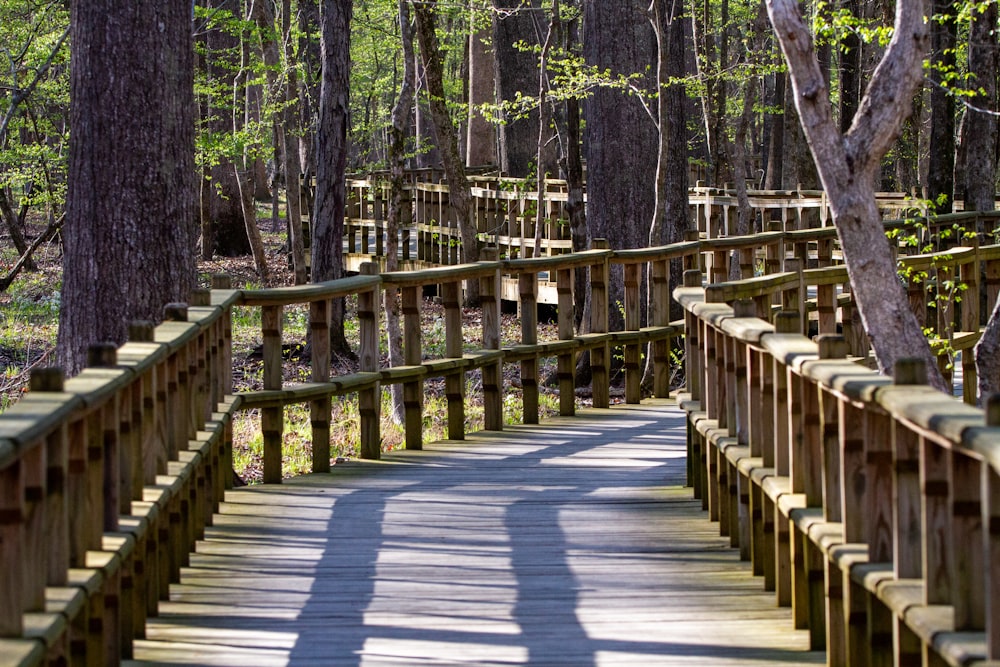 brown wooden pathway in between trees during daytime