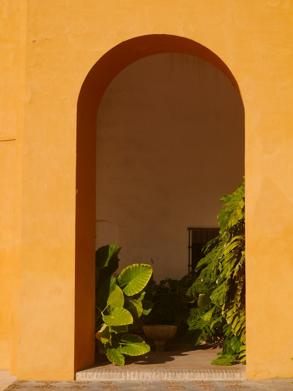 green plants beside brown concrete building