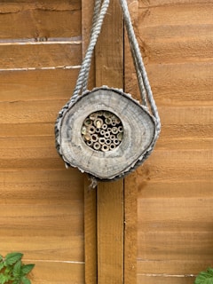 A natural wooden structure resembling a bee hotel is hanging on a wooden fence. It is made from a log with drilled holes filled with hollow twigs or reeds. The log is suspended using a thick, sturdy rope. There are a few green leaves visible at the bottom left corner.