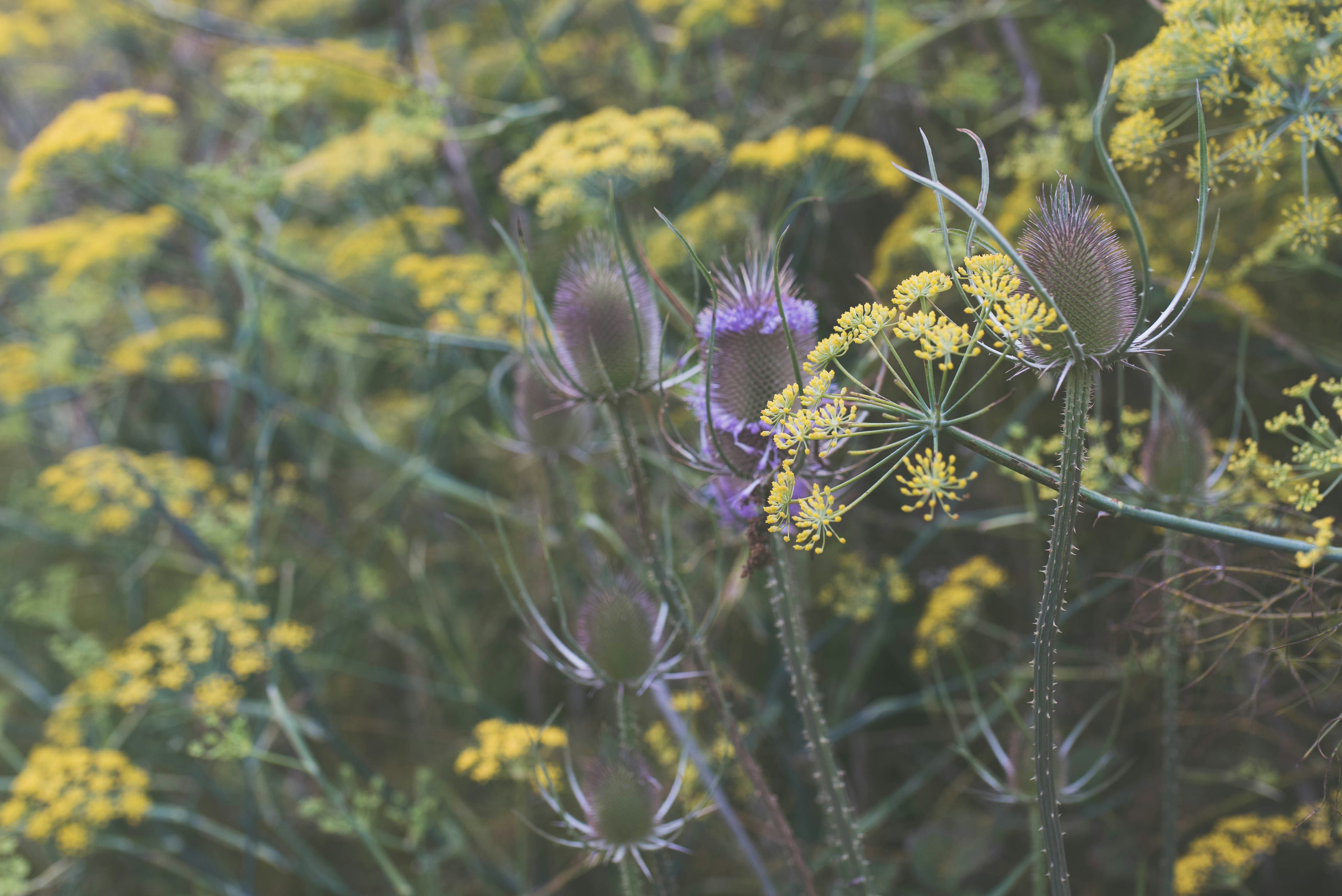 Photo by cortney_chummoungpak