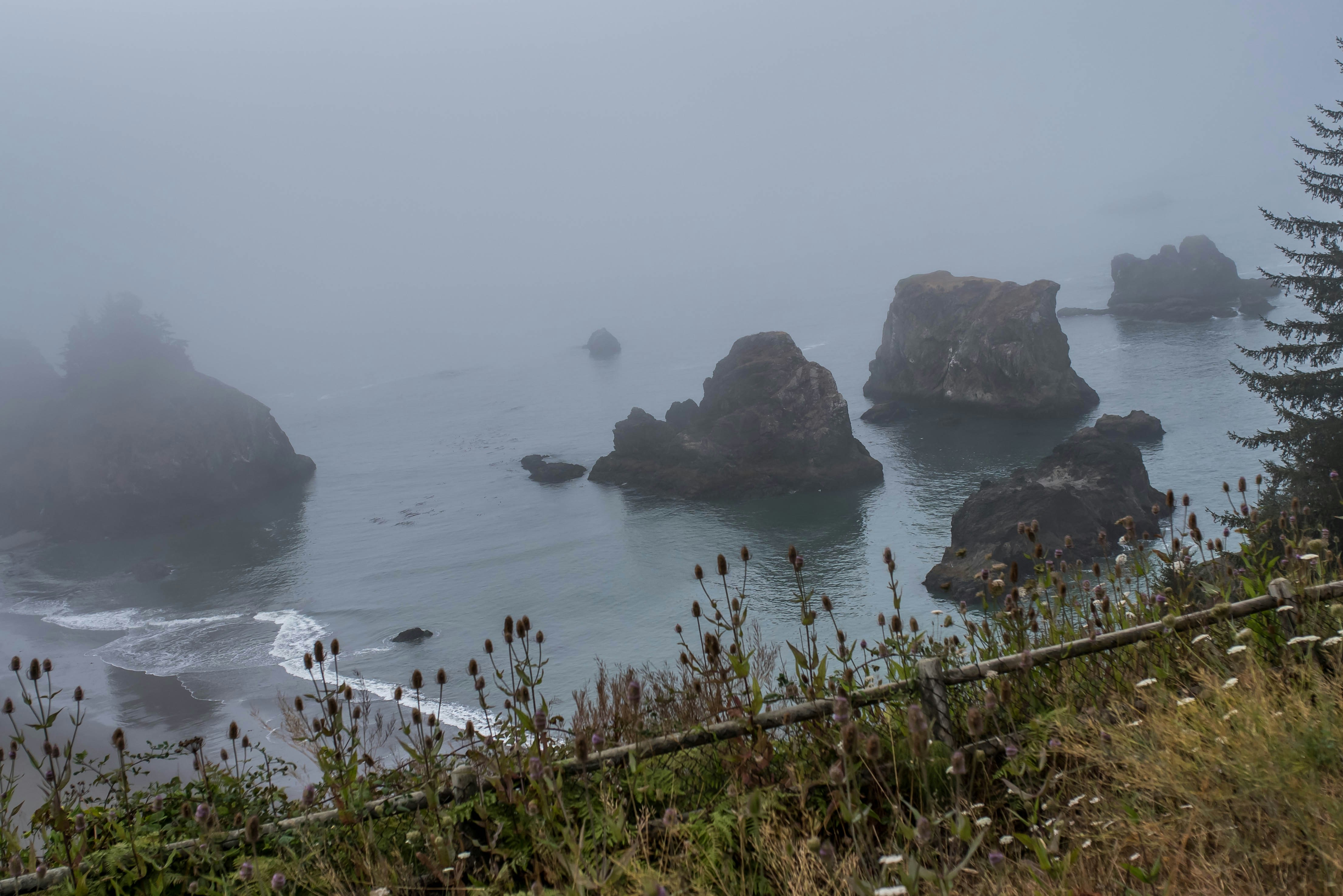 Photo by cortney_chummoungpak