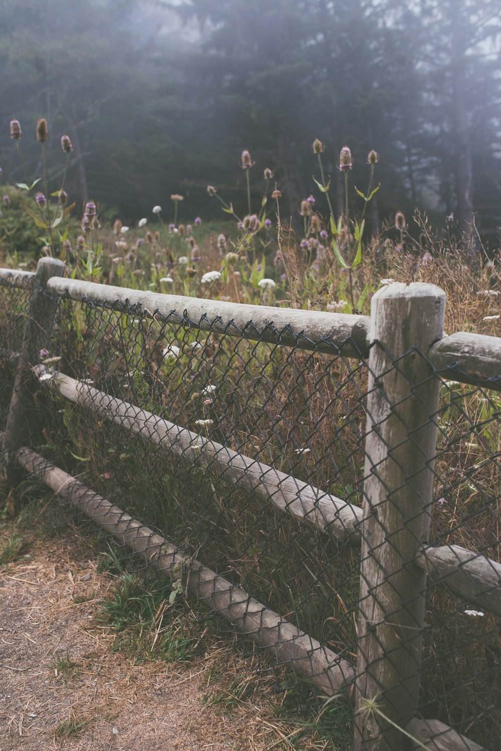 brown wooden fence on green grass field during daytime