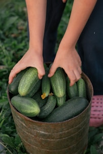 person holding green cucumber on brown woven basket