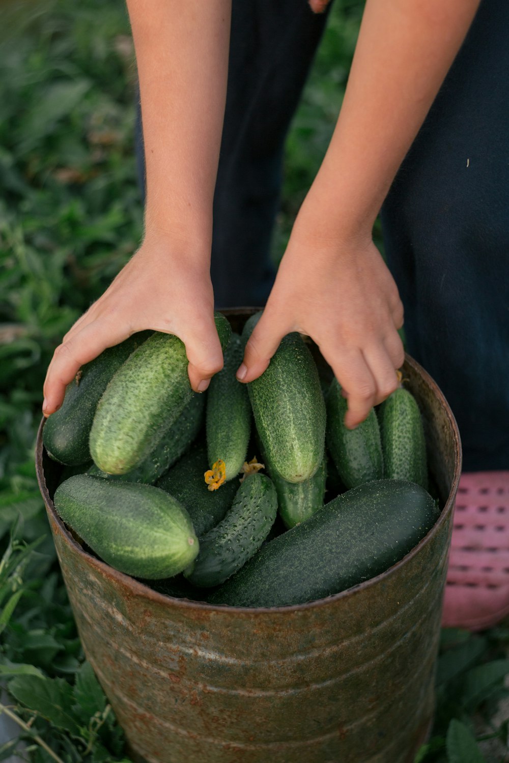 person holding green cucumber on brown woven basket