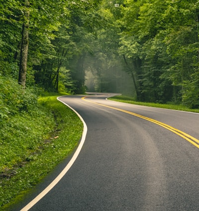 gray concrete road between green trees during daytime