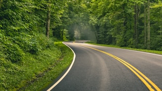 gray concrete road between green trees during daytime