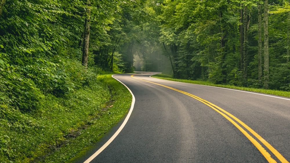 gray concrete road between green trees during daytime