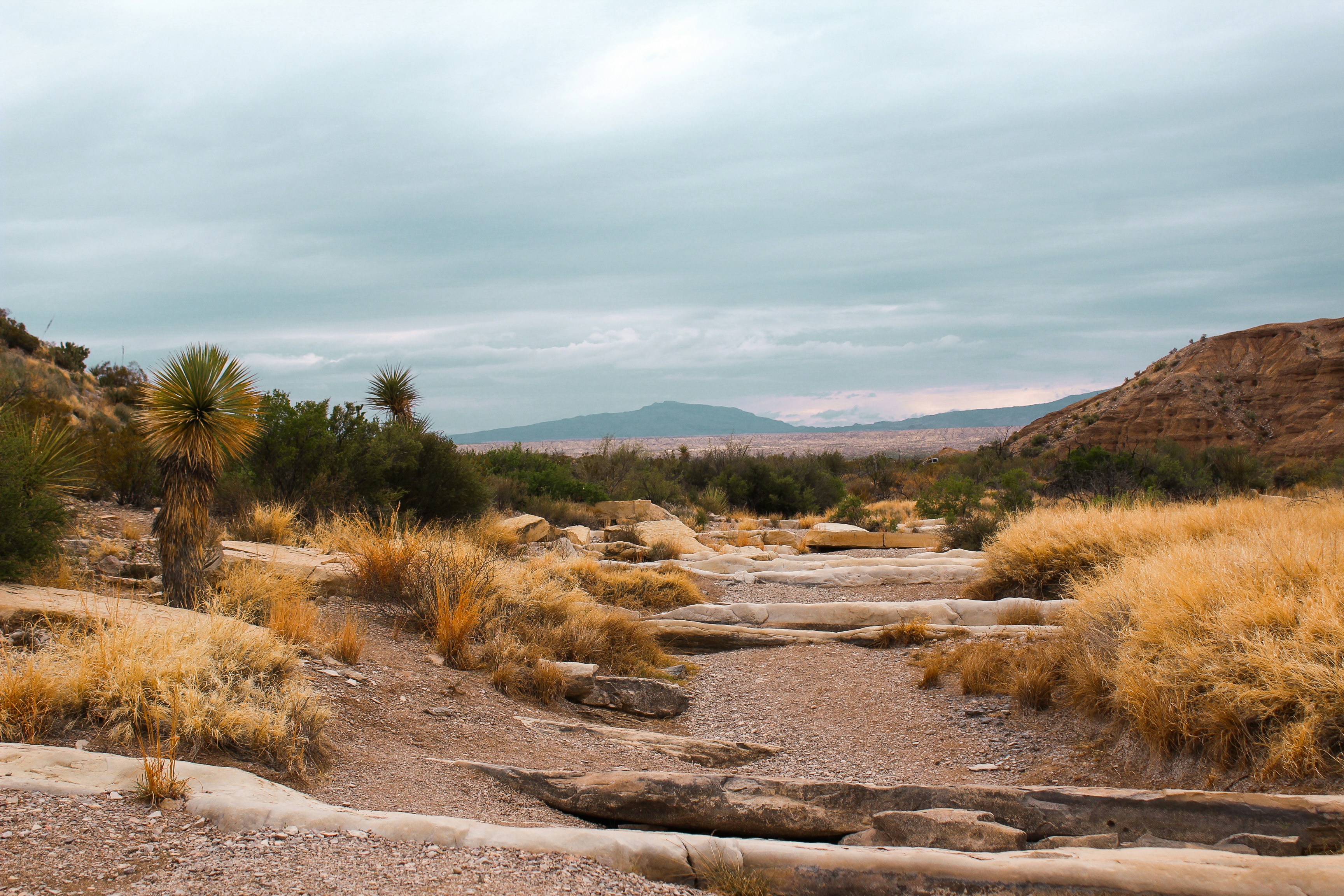 Big Bend National Park