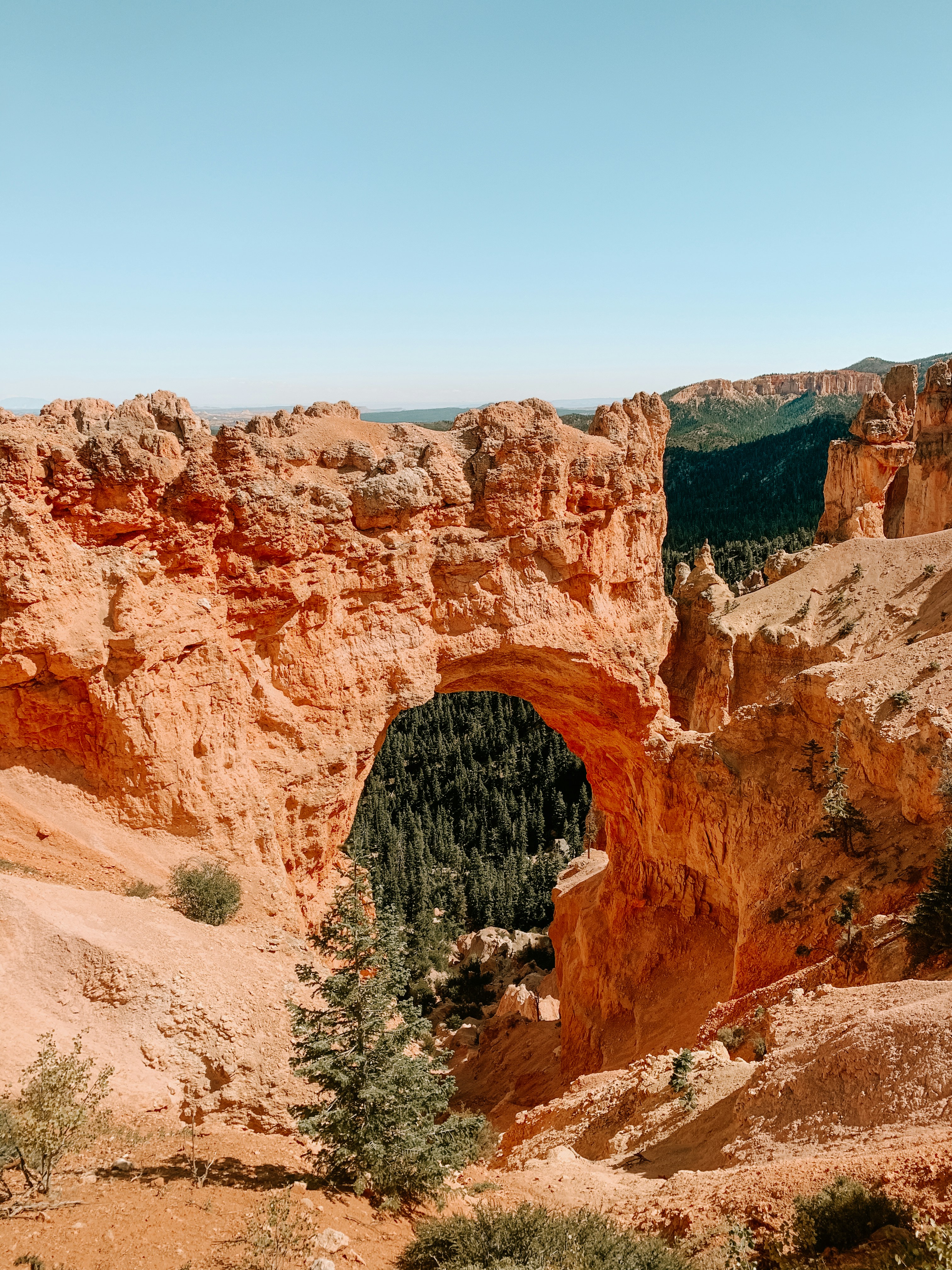 Photo by ktpolansky12