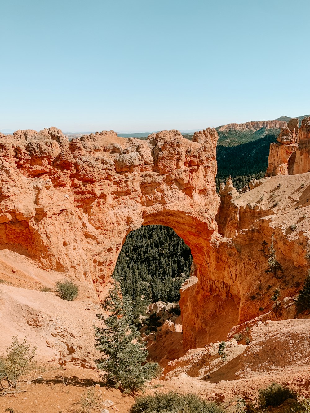 brown rock formation during daytime