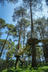 Float Tent suspended between trees over rocky, uneven ground in a forest.