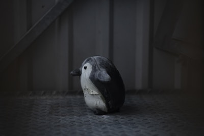 white and black penguin figurine