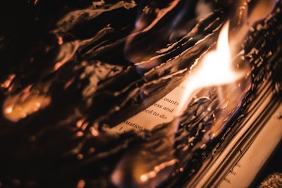 A torn page from a forbidden book, edges burnt and fragile.