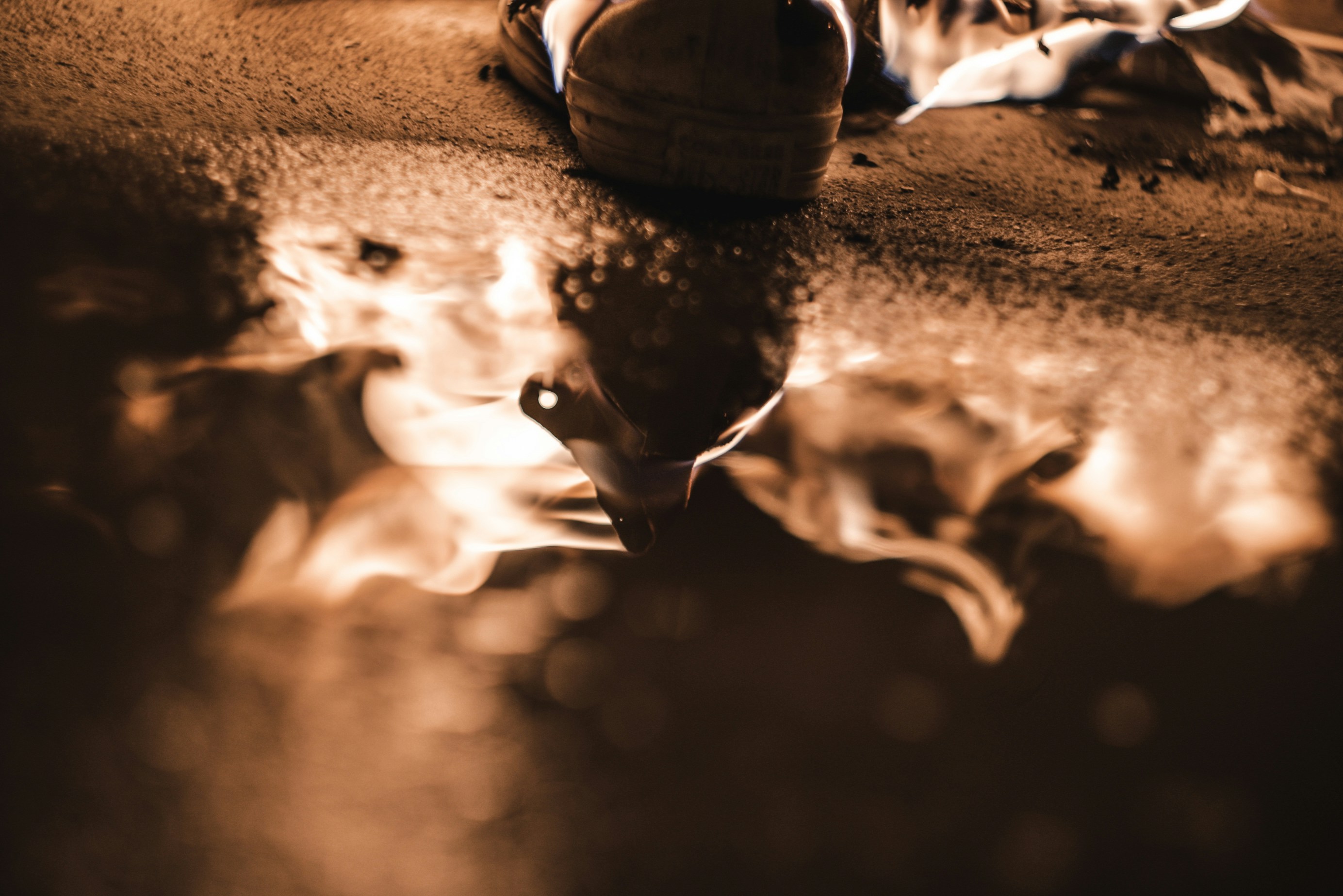 Photo by brendan_stephens