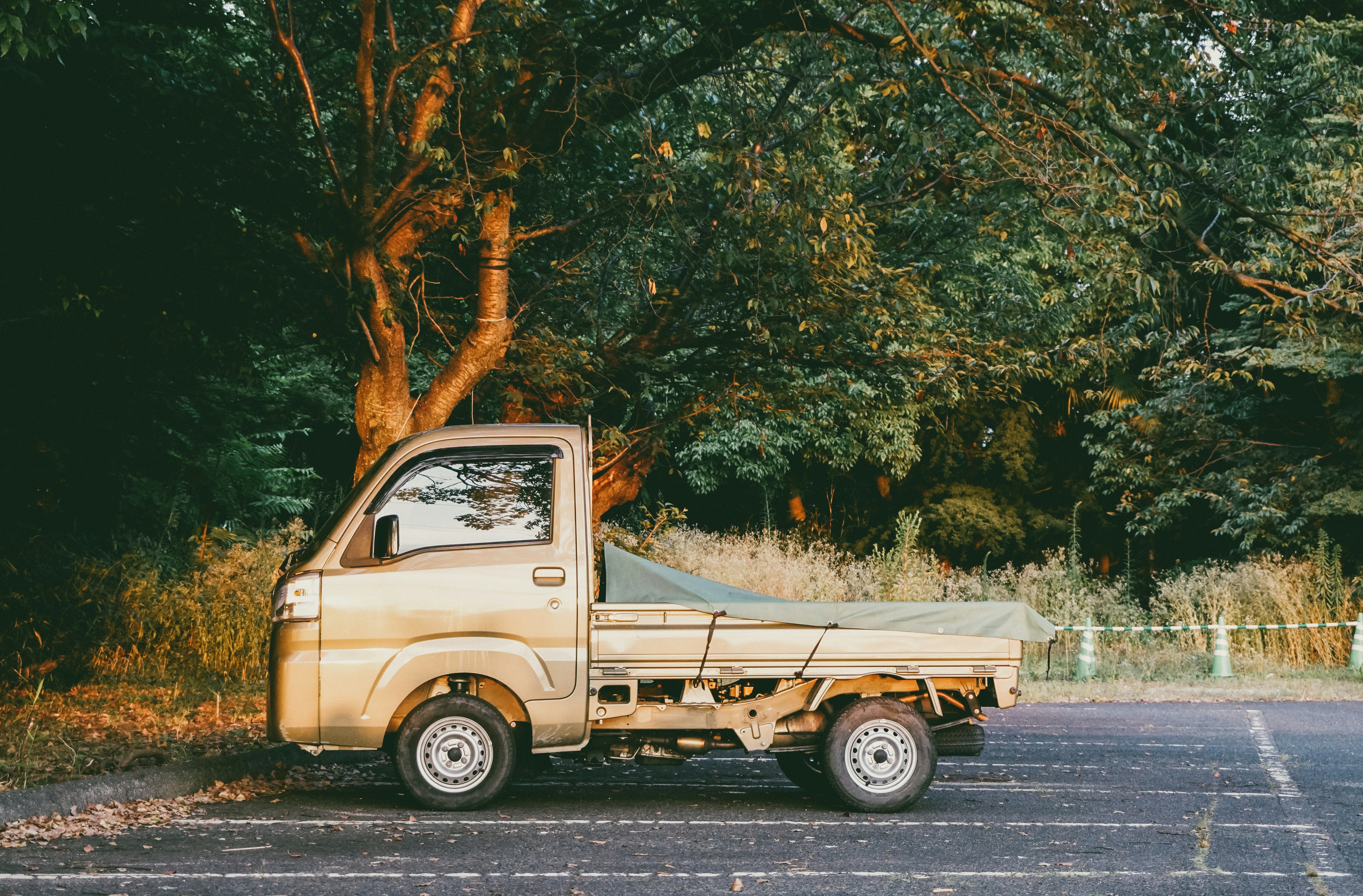 Photo by cosmonaut647