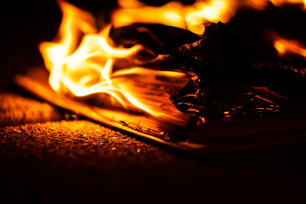 fire in close up photography