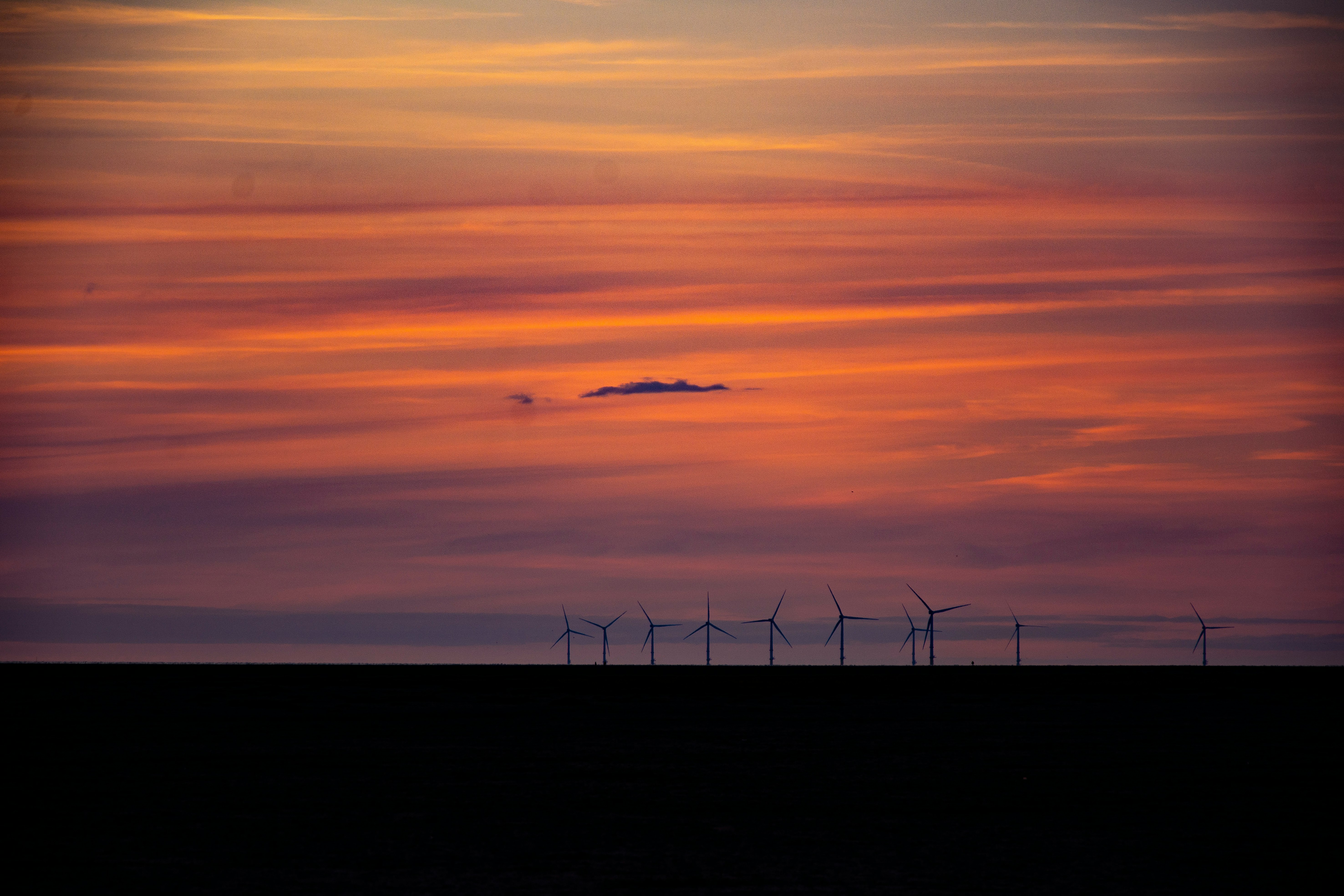 silhouette of birds flying over the sea during sunset