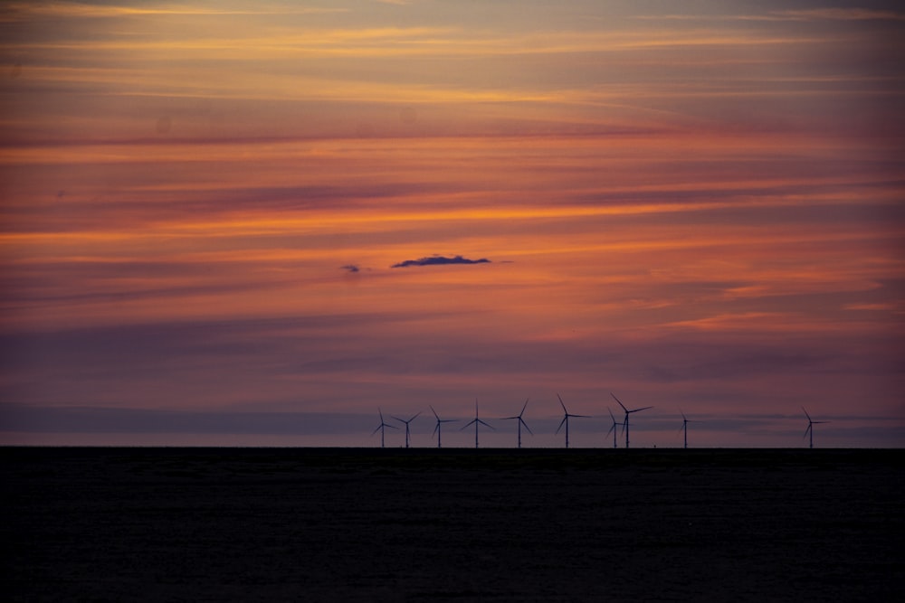 silhouette of birds flying over the sea during sunset