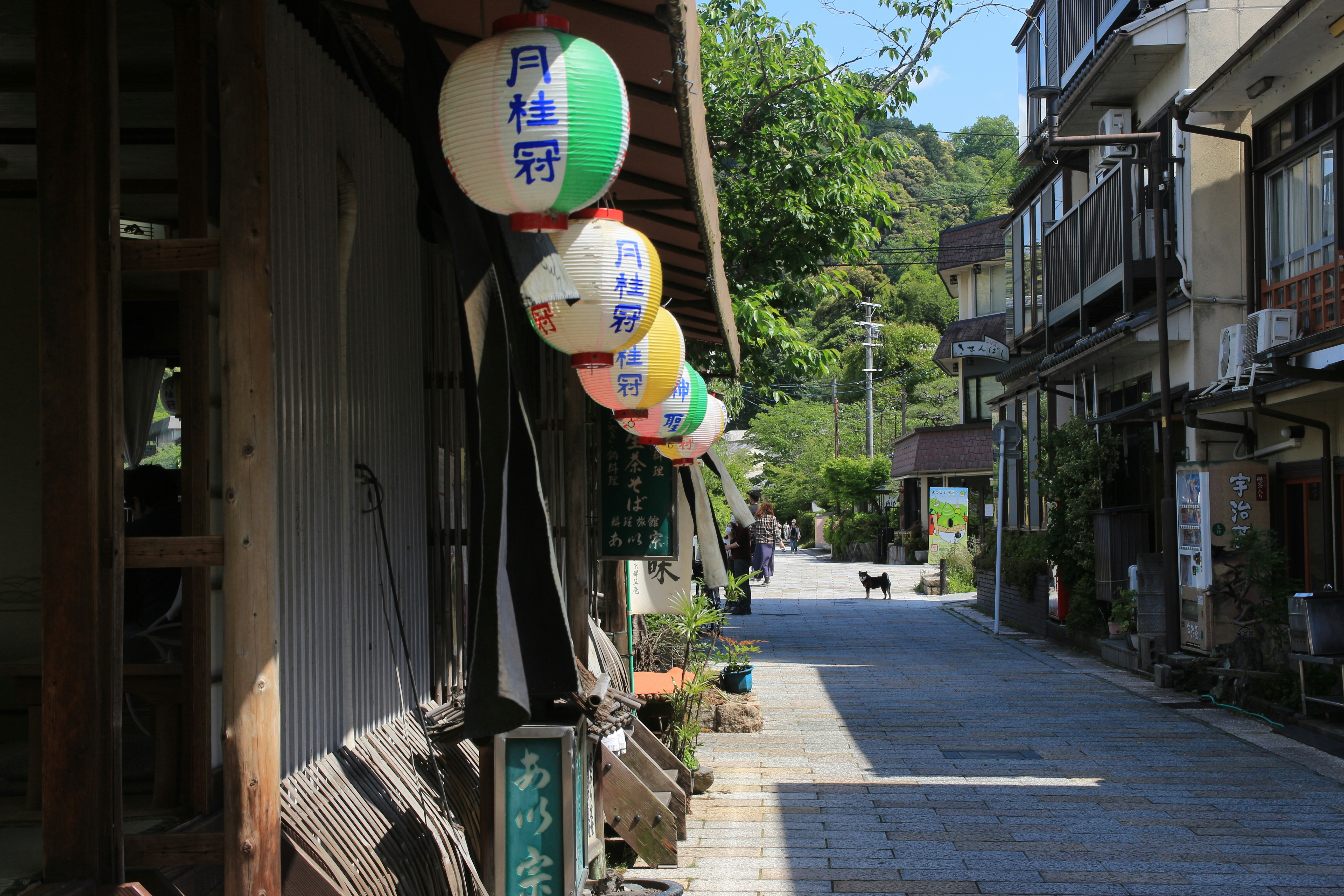 Photo by haiphan1802