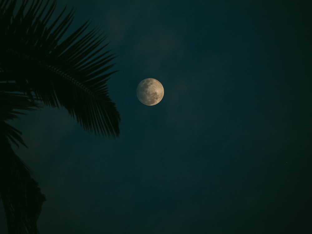 full moon over the sky