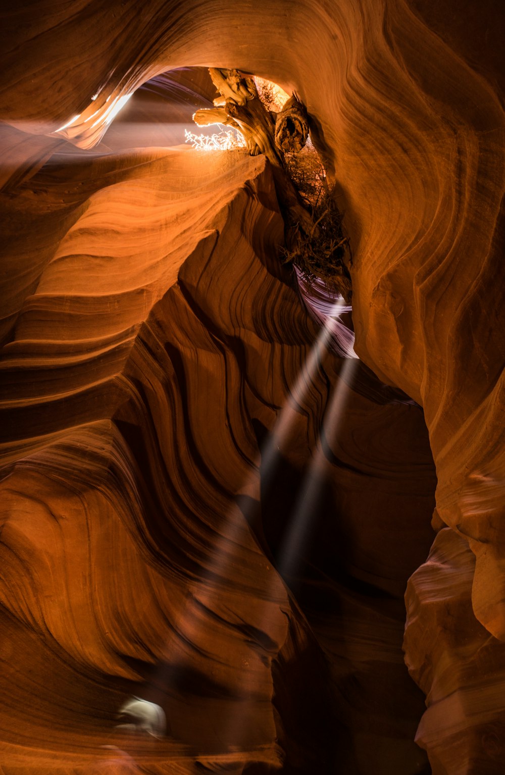 brown rock formation during daytime