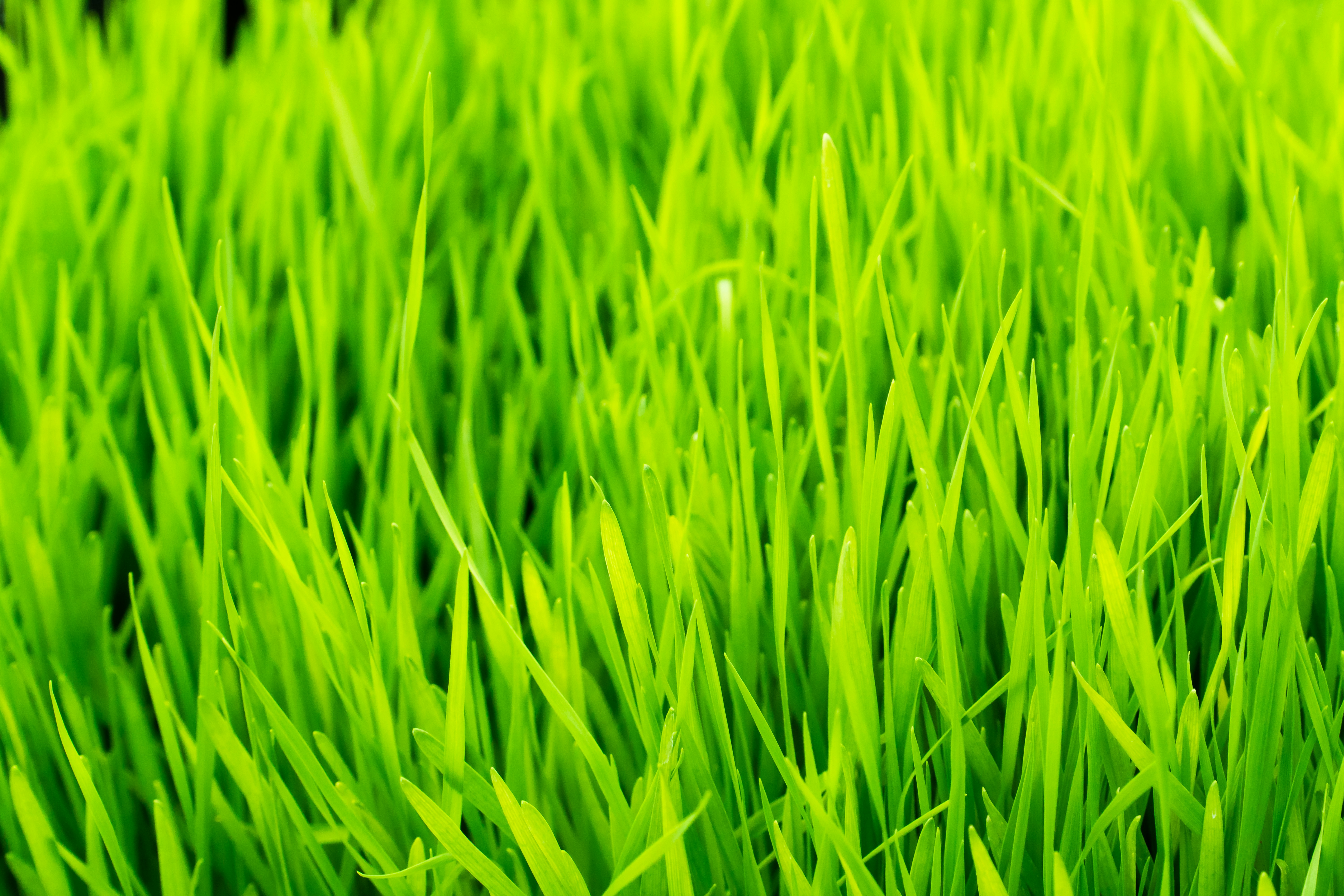 Photo by earl_plannerzone