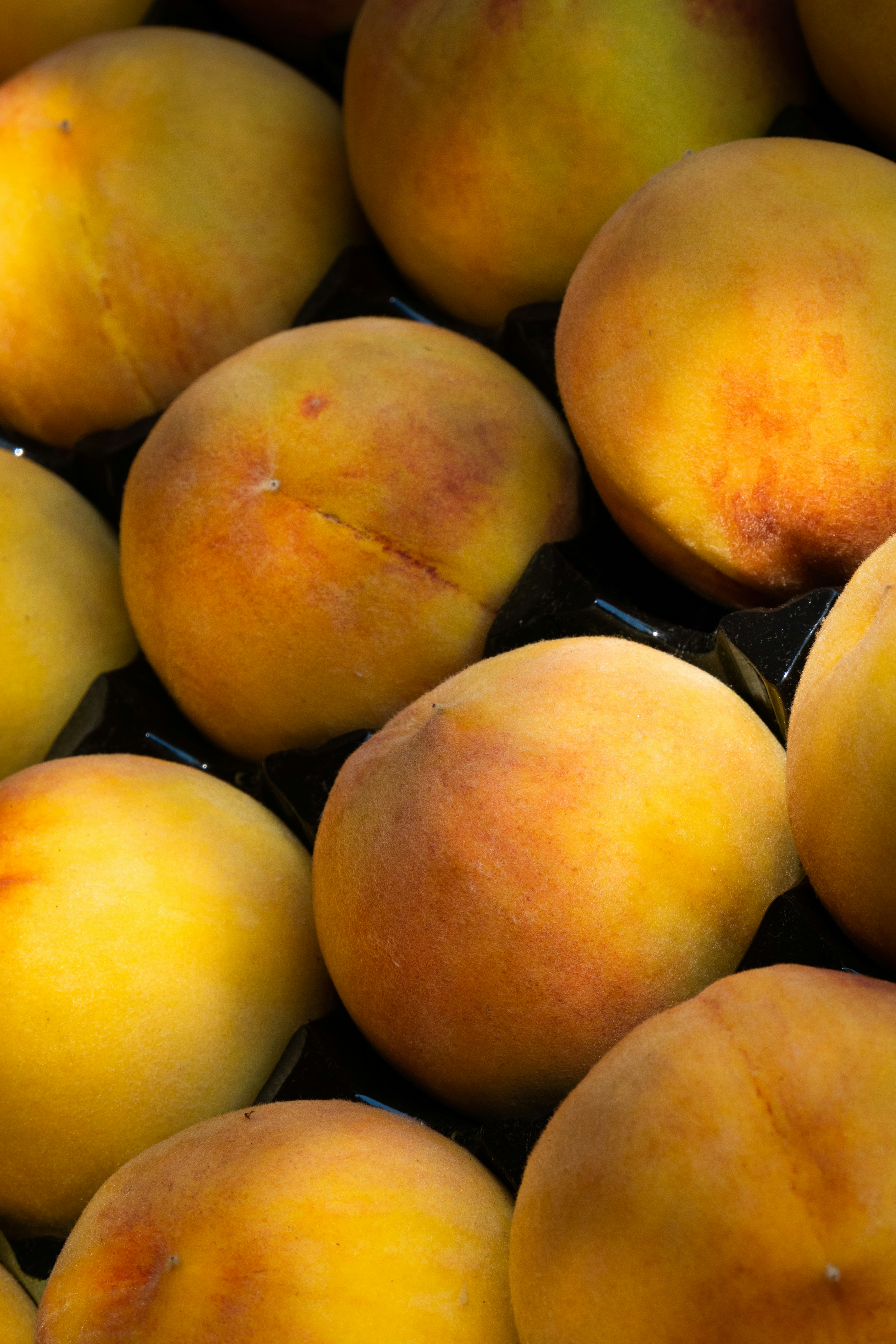 Photo by earl_plannerzone