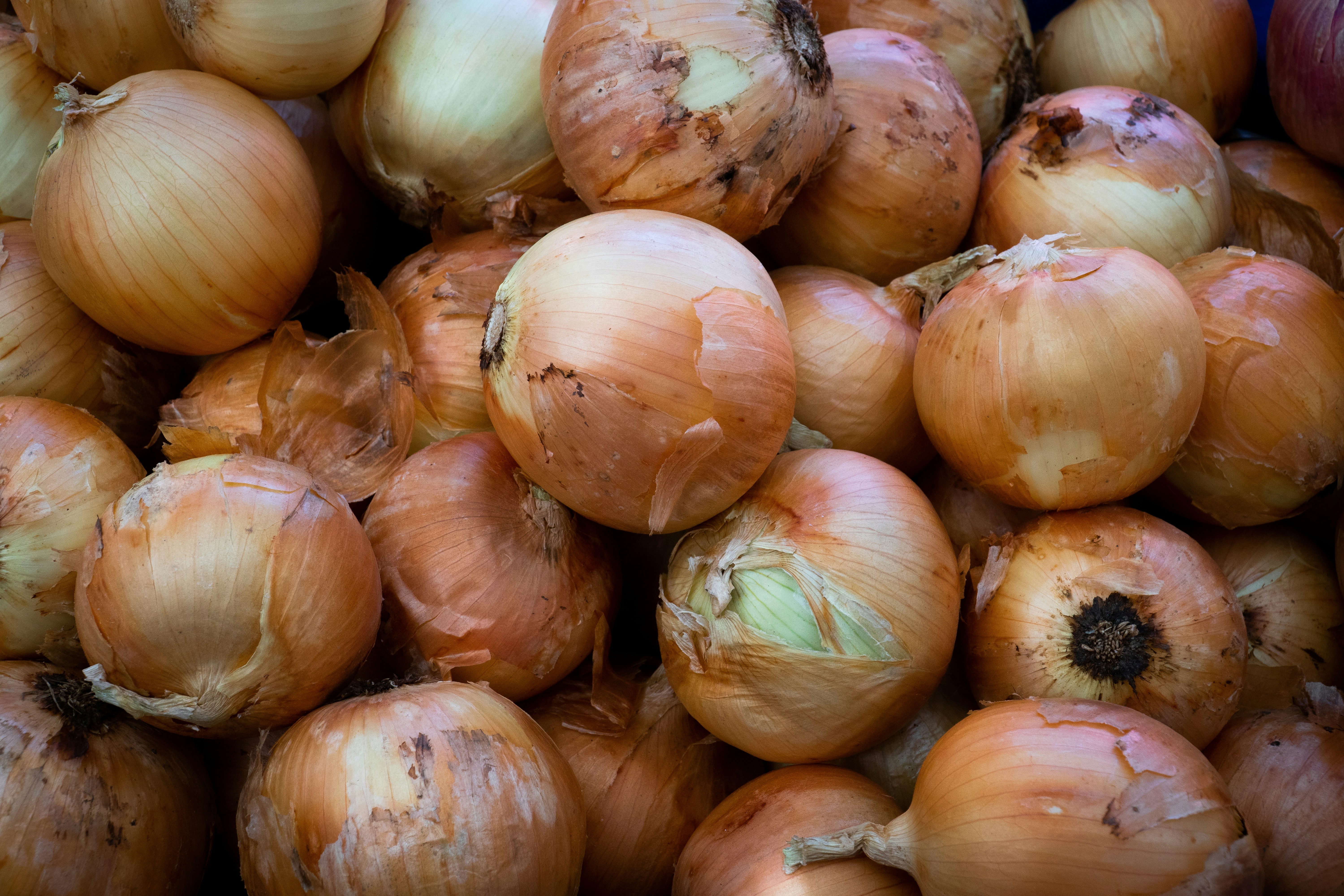 Breaking: OrionCloud IPO — Tactical Moves for Founders and Growth Teams