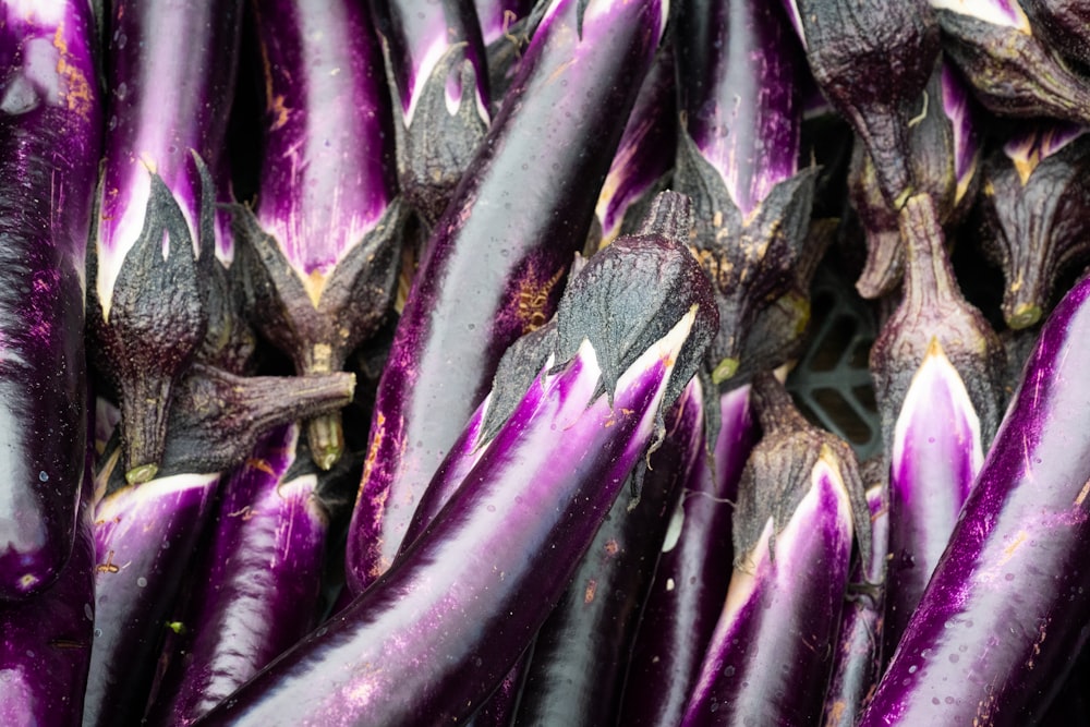 purple and green fish on water