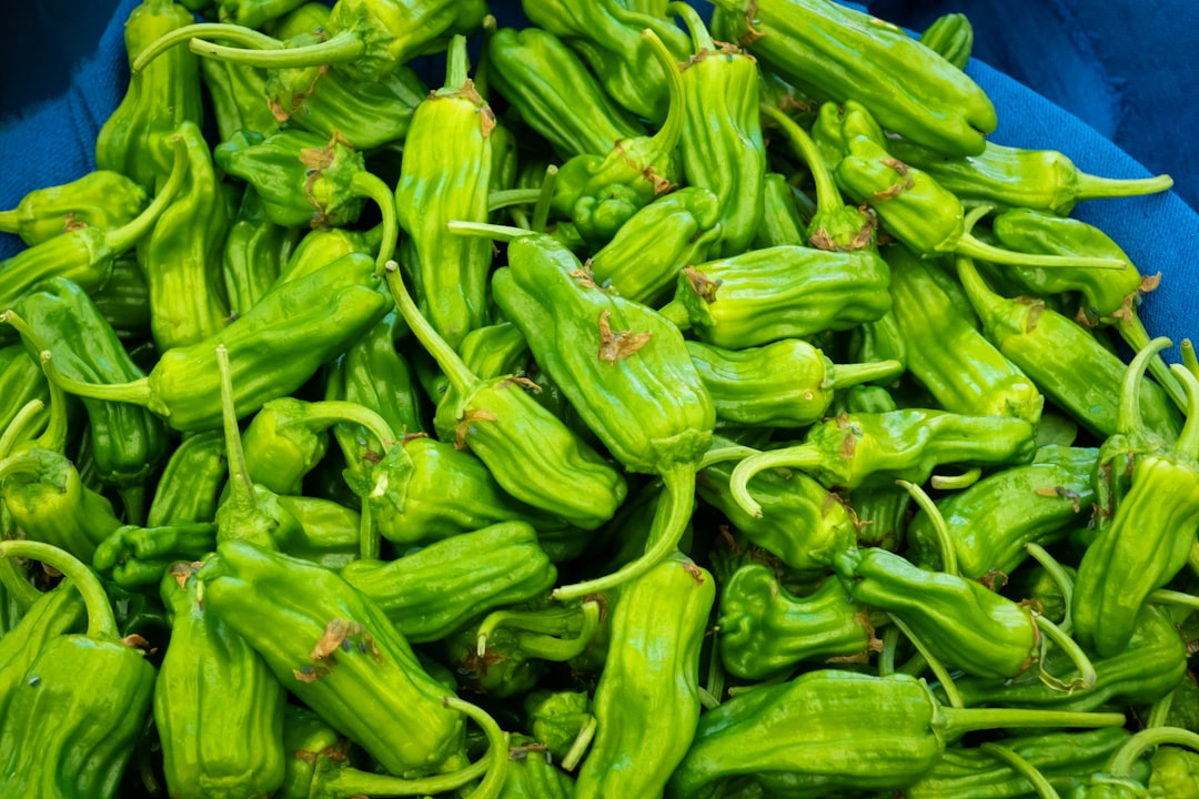 green chili lot on white background