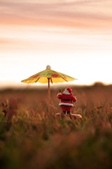 person in red jacket holding umbrella on brown grass field during daytime