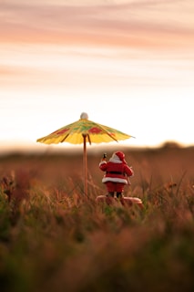 person in red jacket holding umbrella on brown grass field during daytime