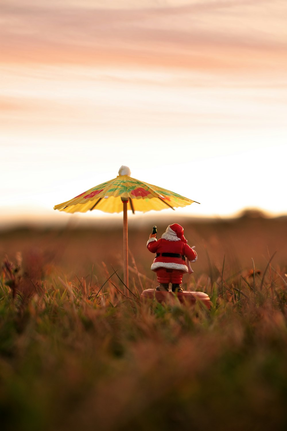 person in red jacket holding umbrella on brown grass field during daytime