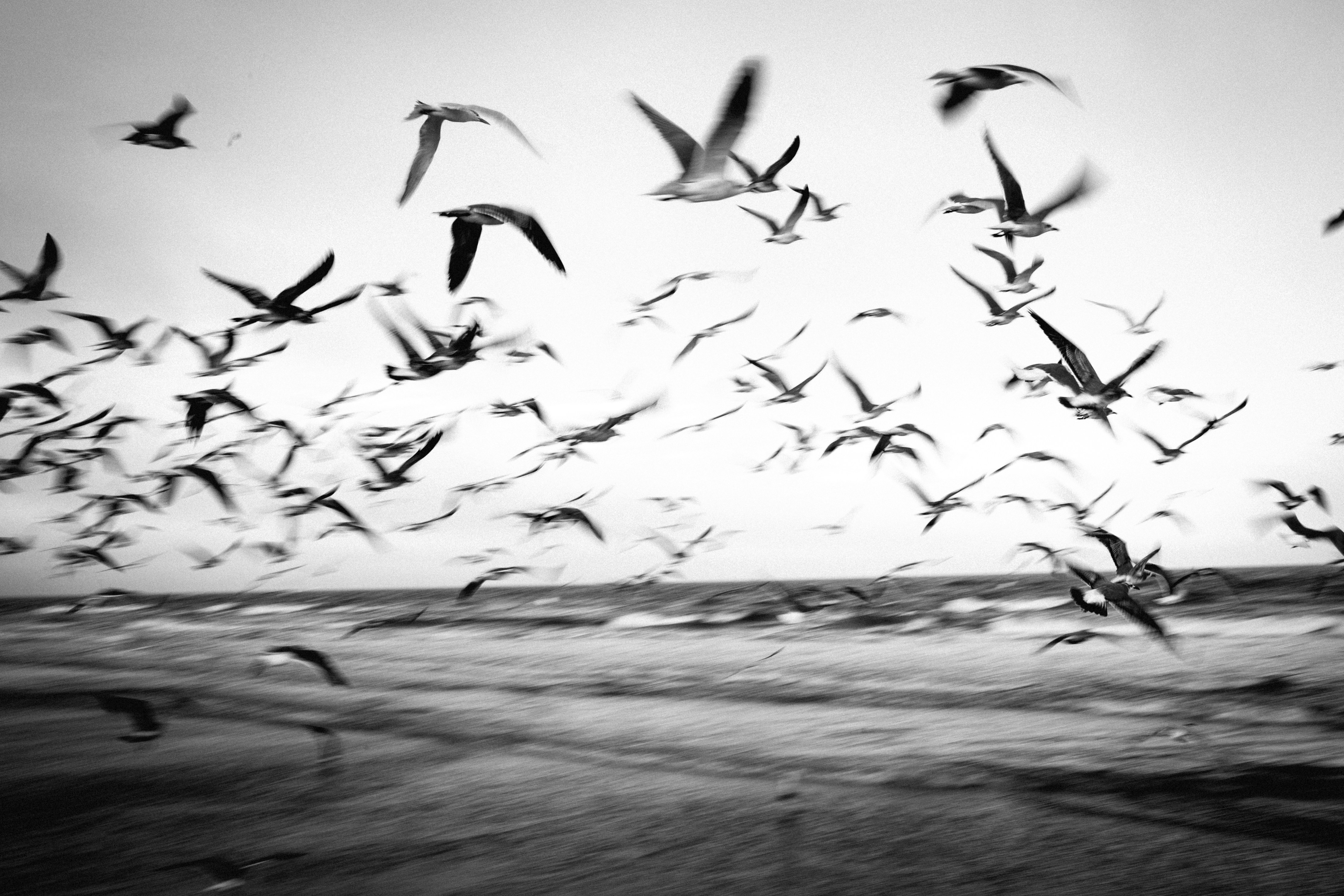 Practical Guide: Moving Abroad for Study in 2026 — Tech, Documents & Settling Fast