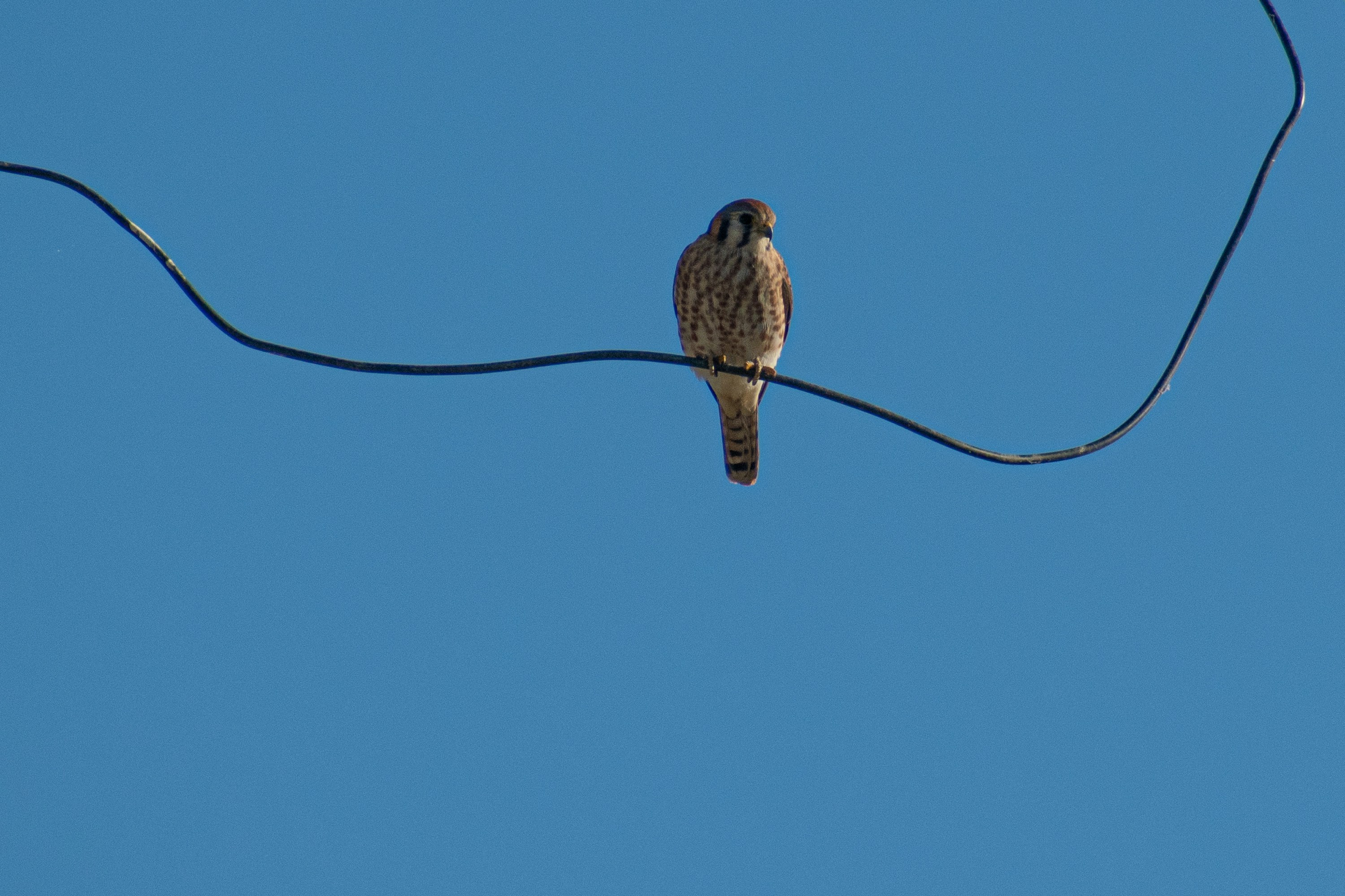 Photo by elisastonephotography