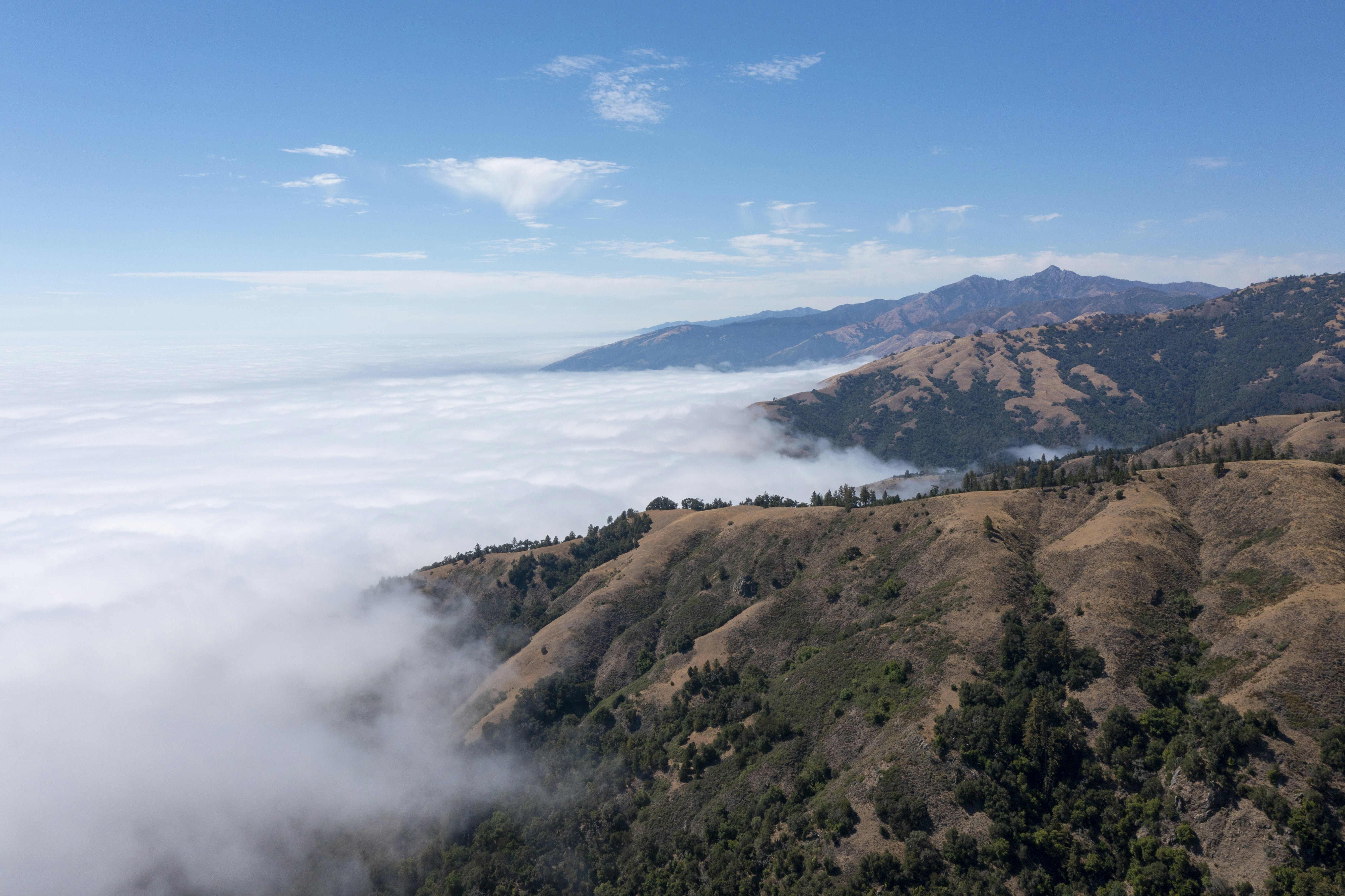 Photo by leo_visions_