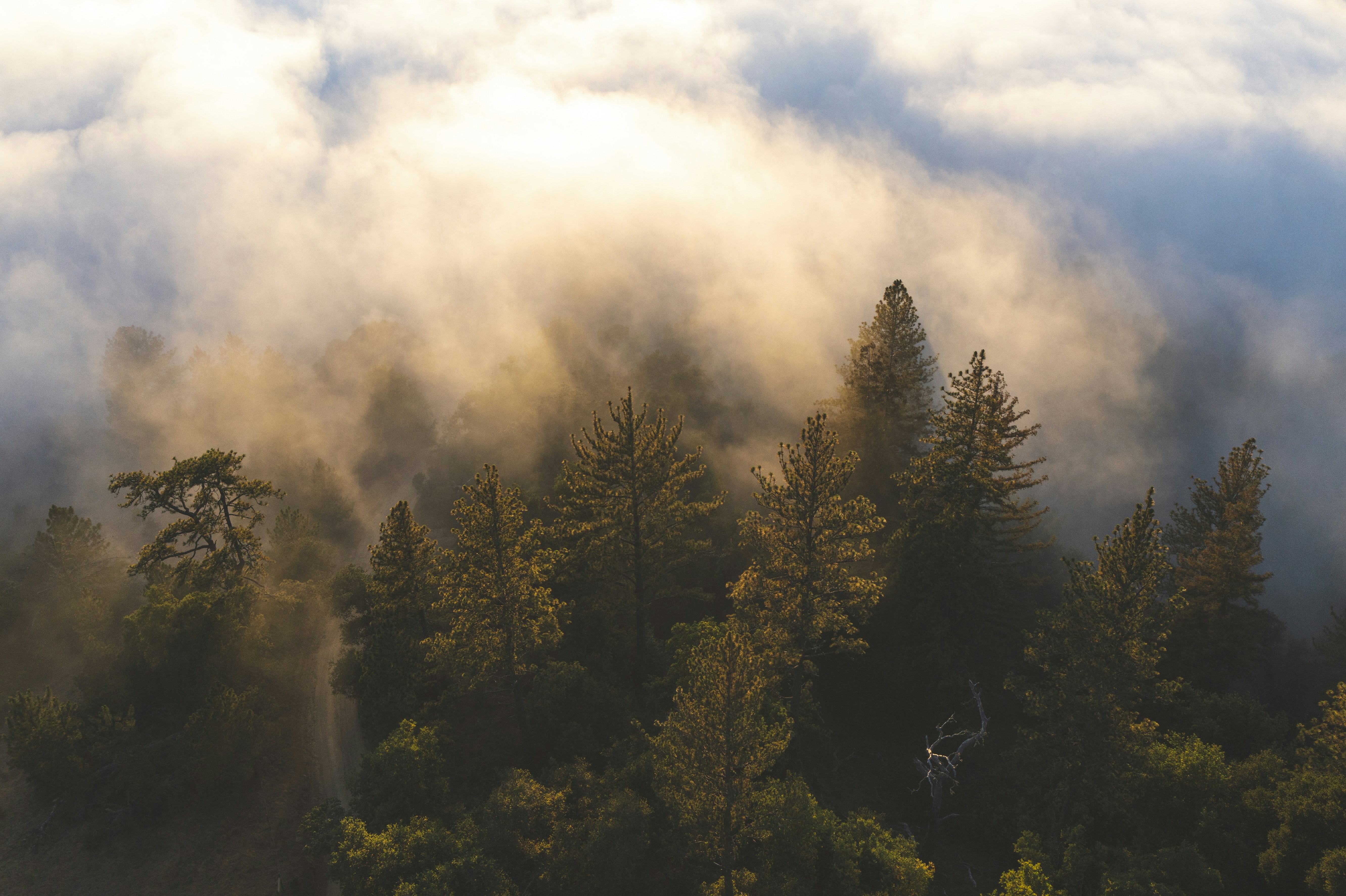 Photo by leo_visions_