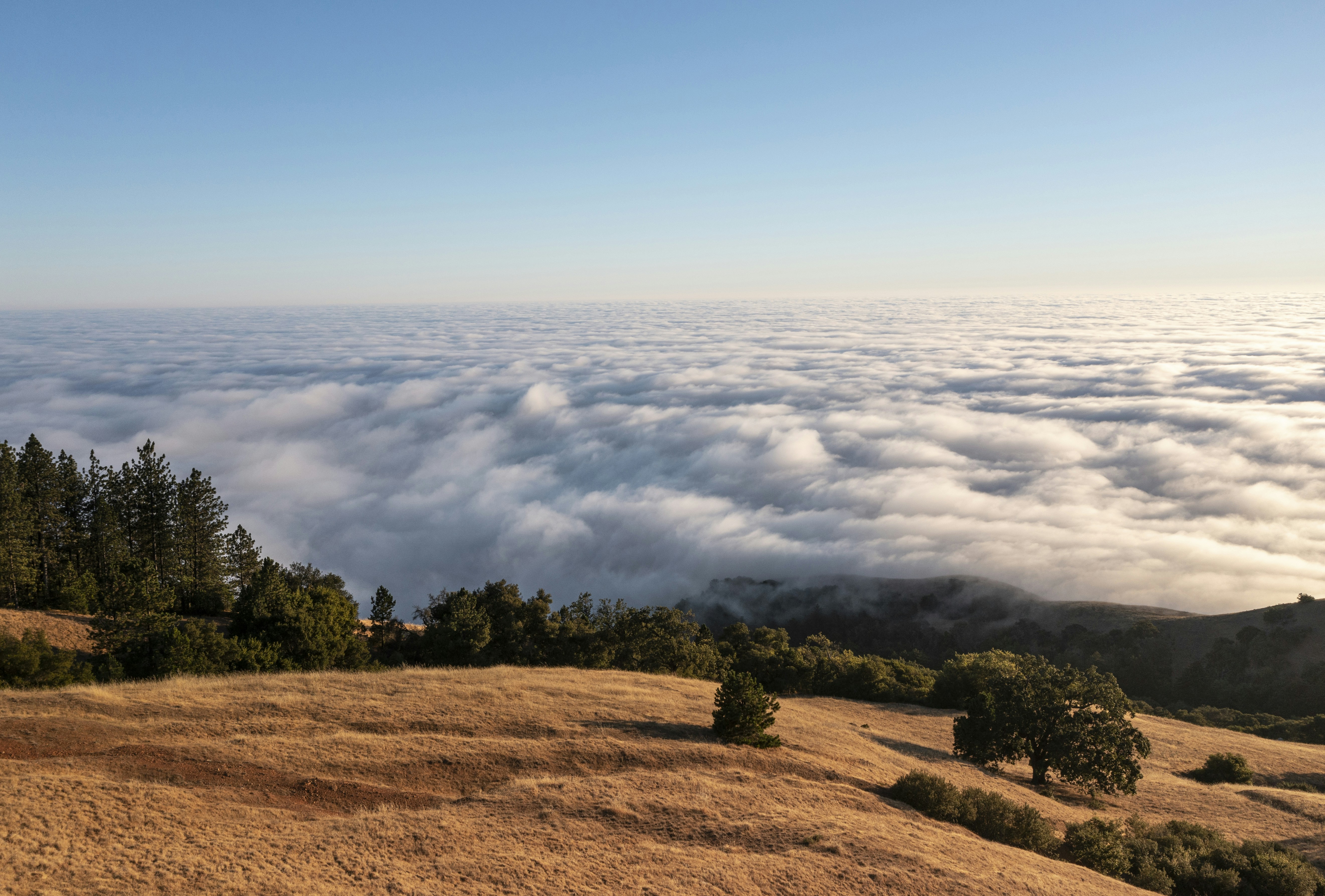 Photo by leo_visions_