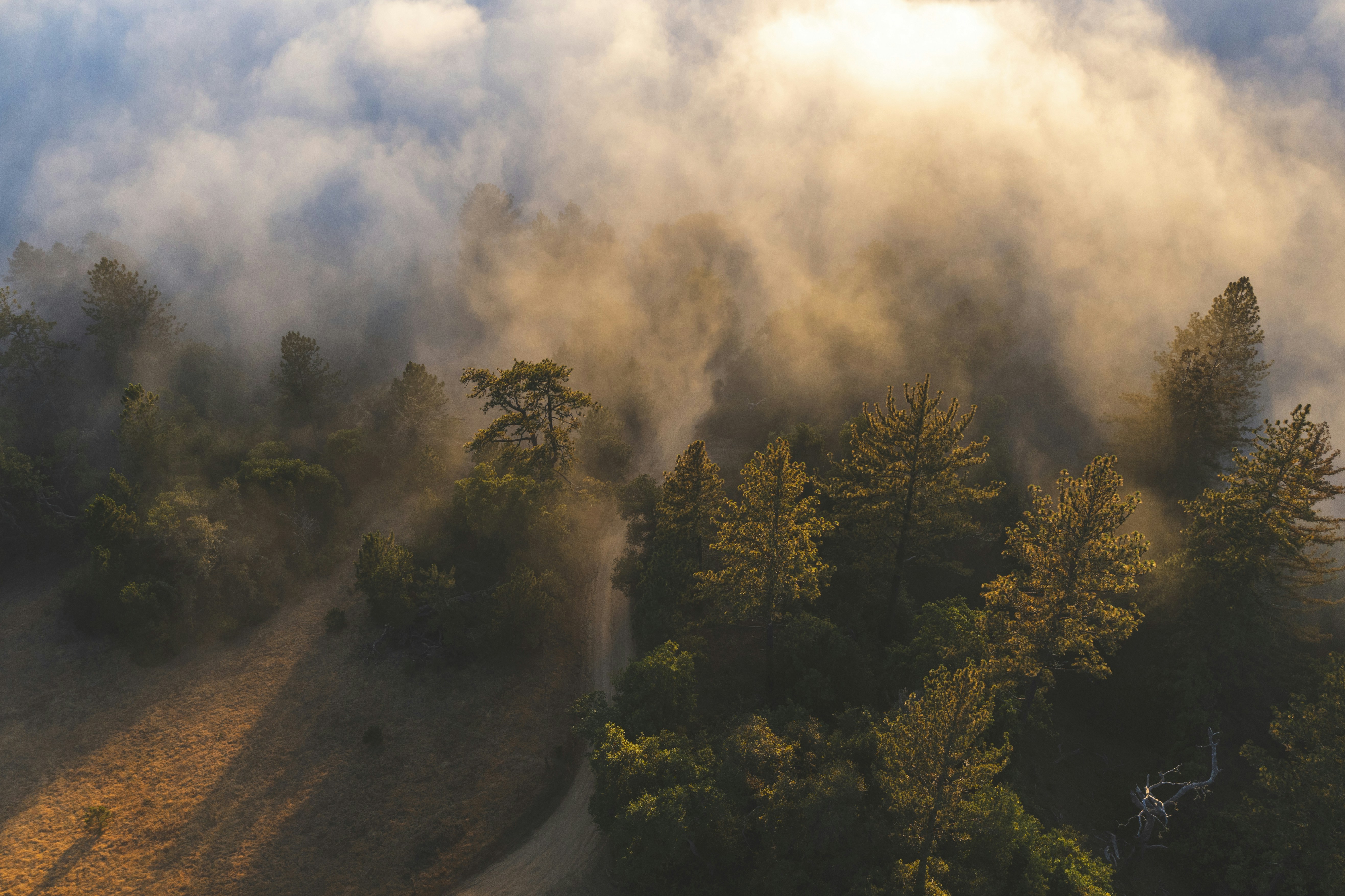 Photo by leo_visions_