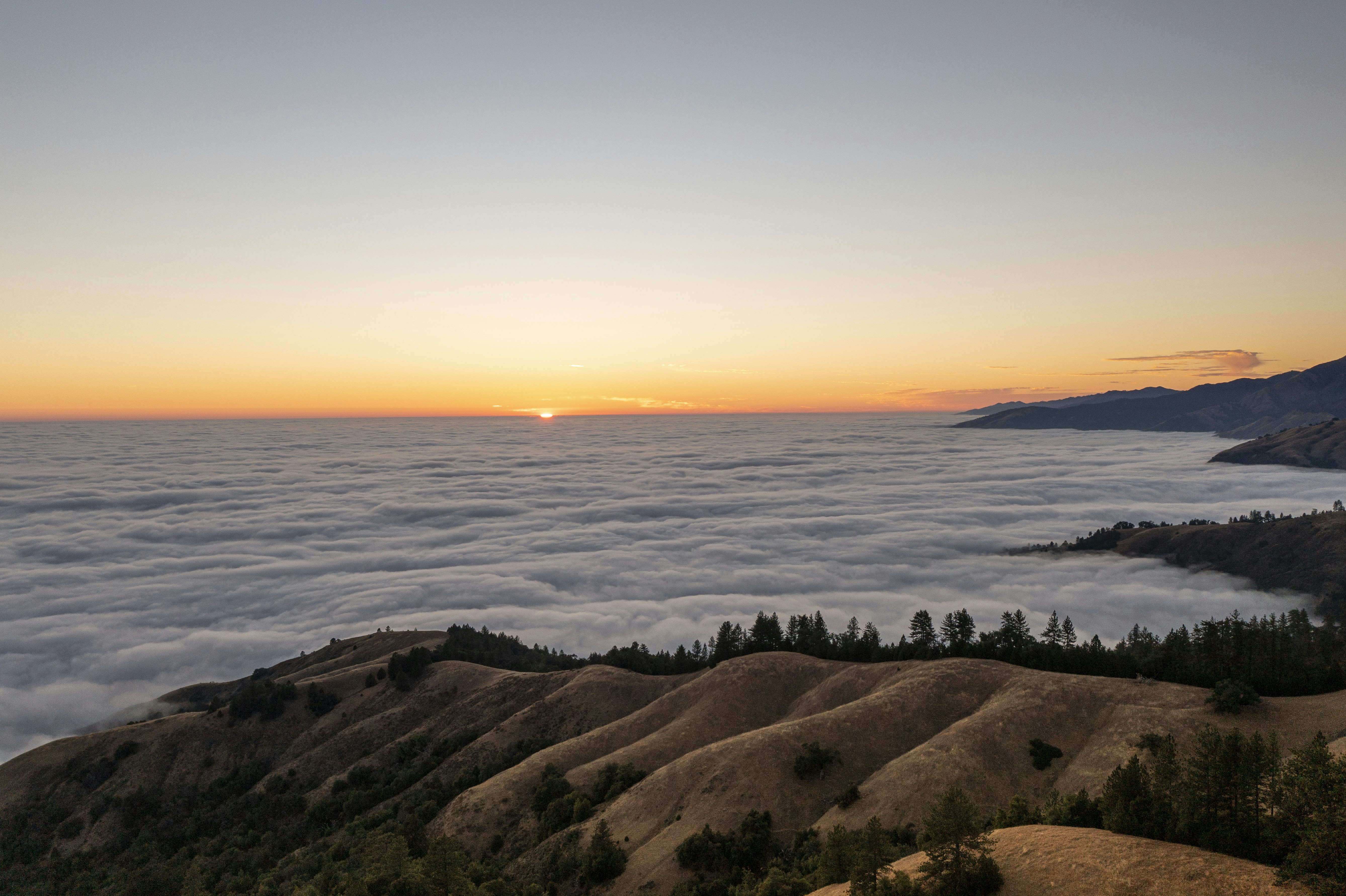 Photo by leo_visions_