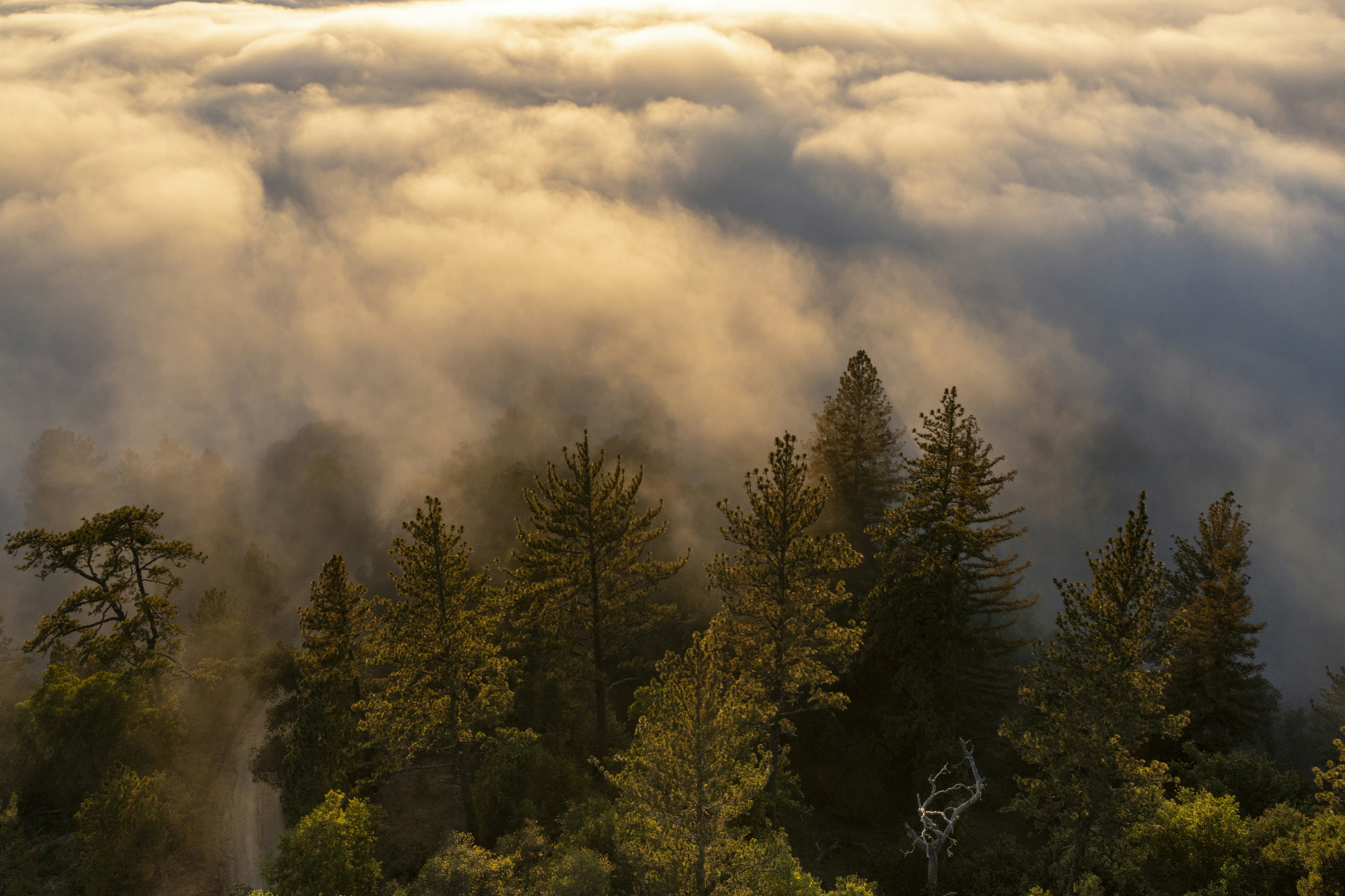 Photo by leo_visions_