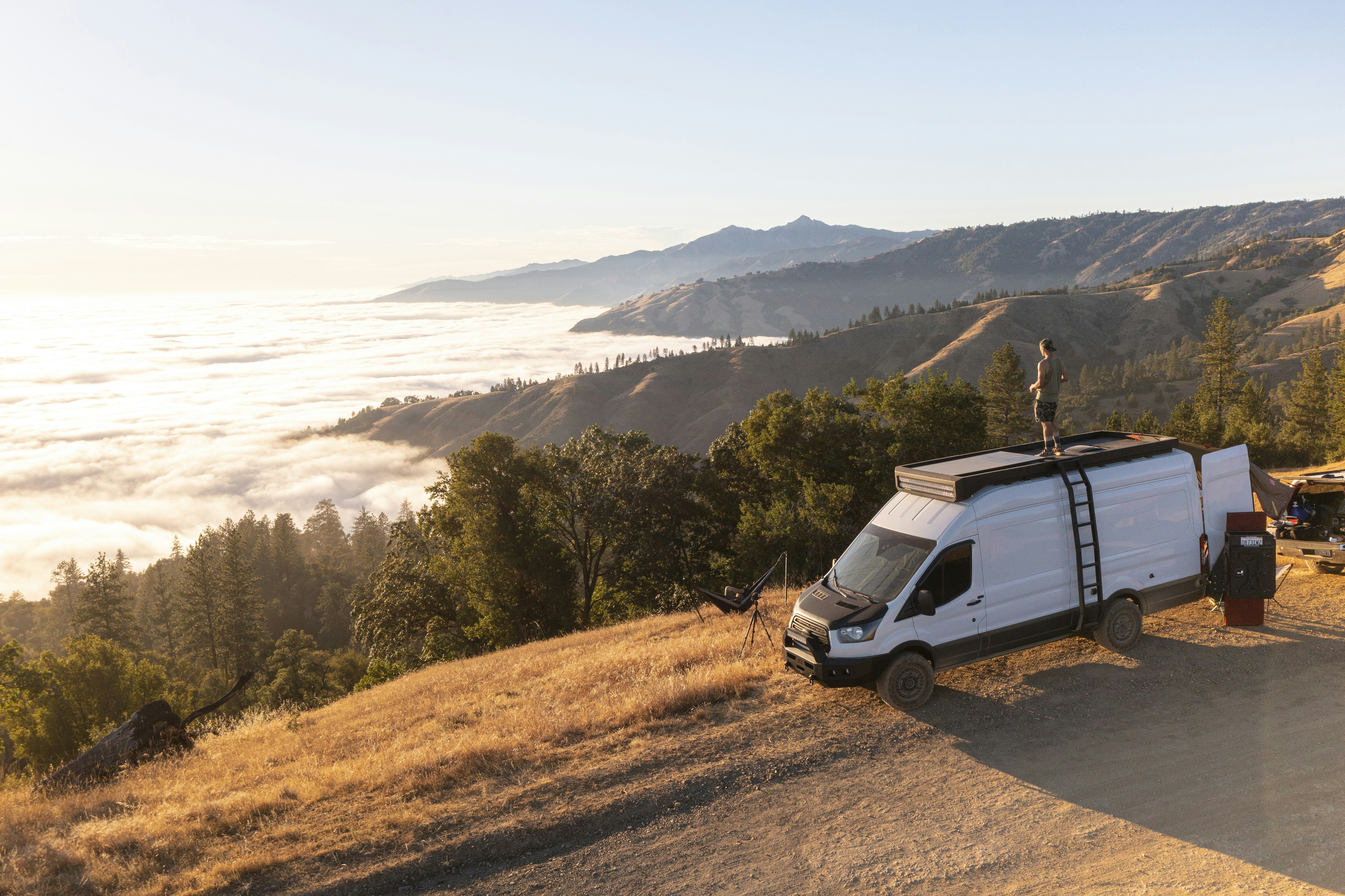 white suv on dirt road near green trees during daytime