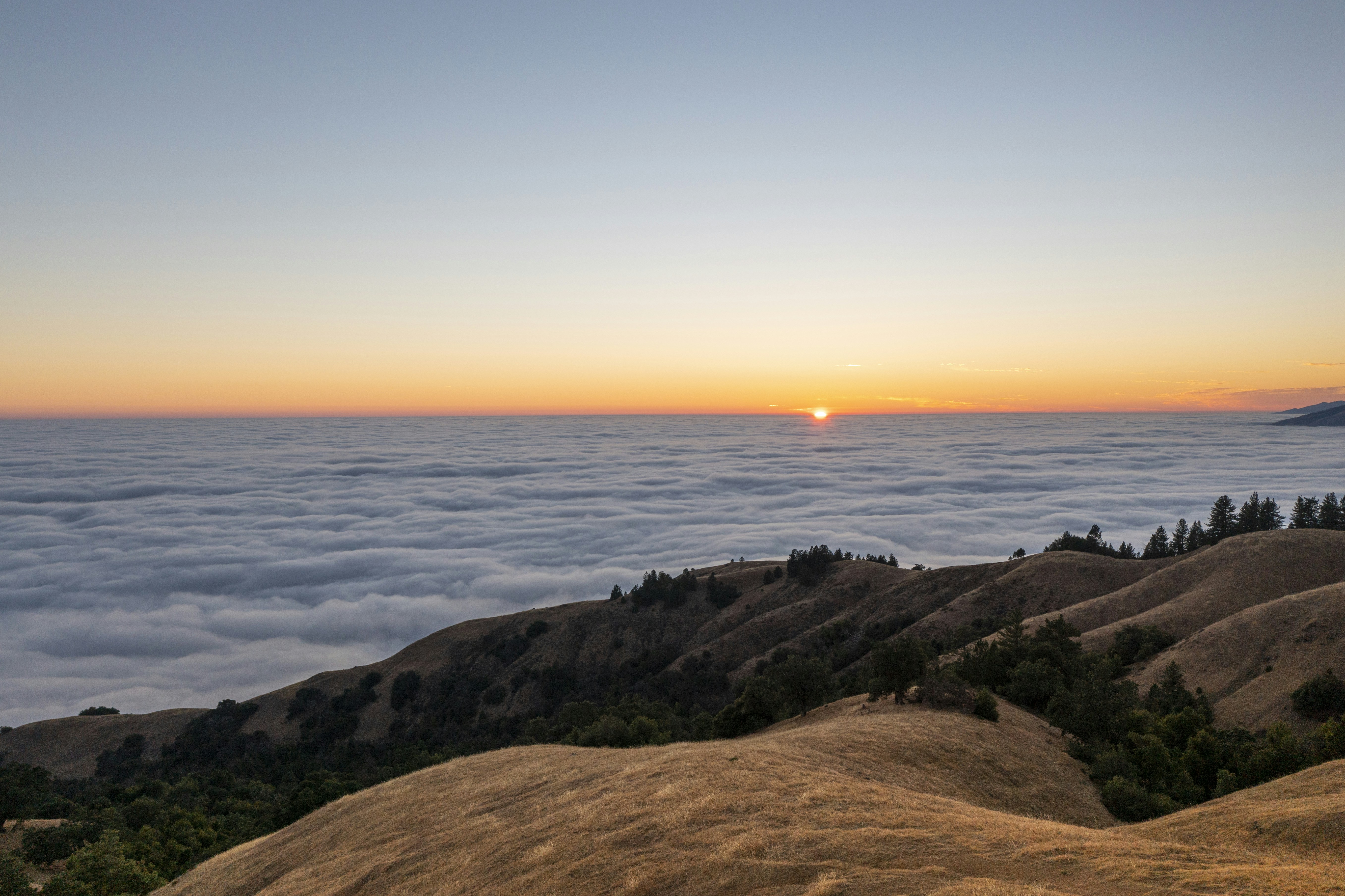 Photo by leo_visions_