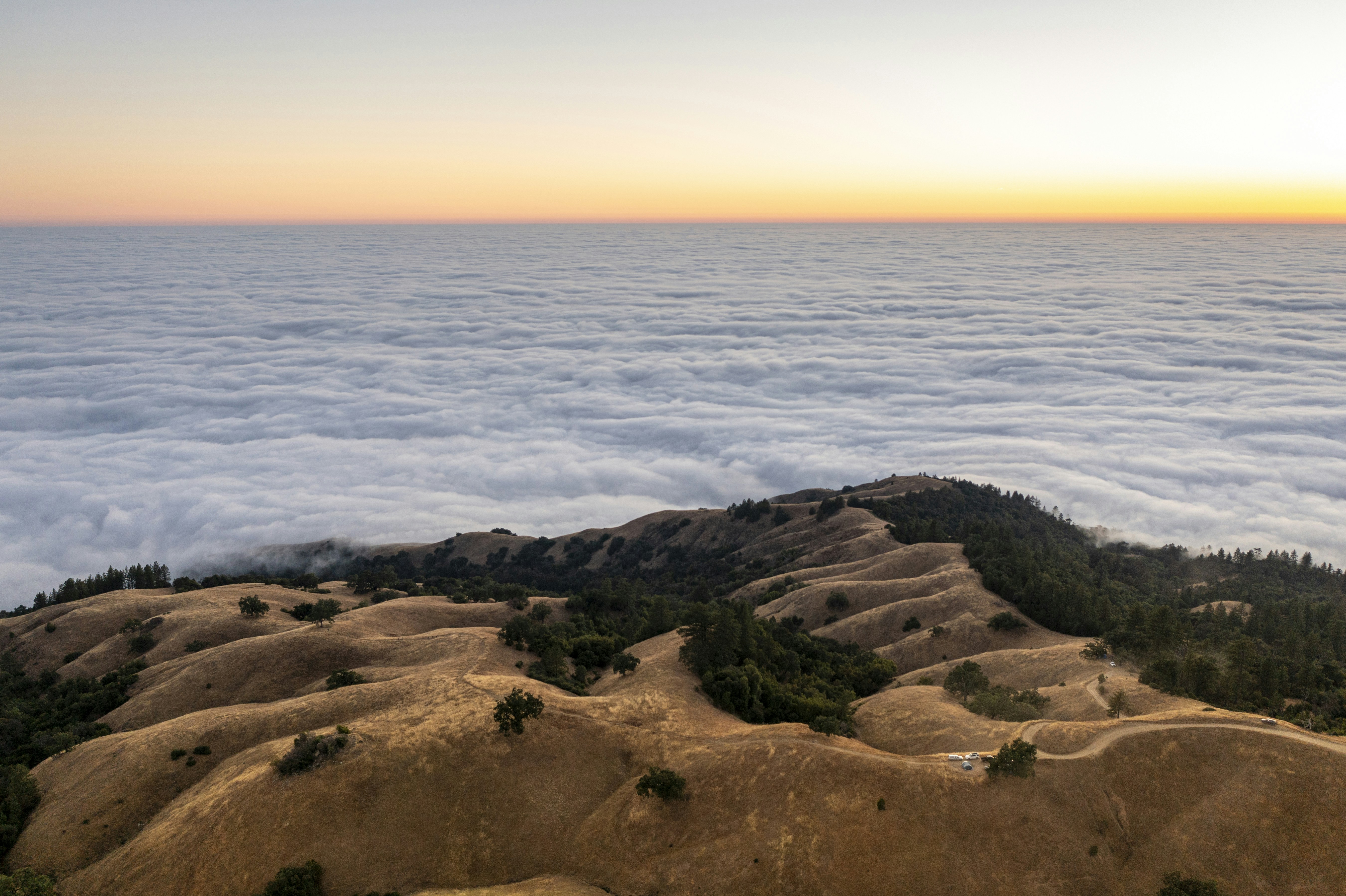 Photo by leo_visions_