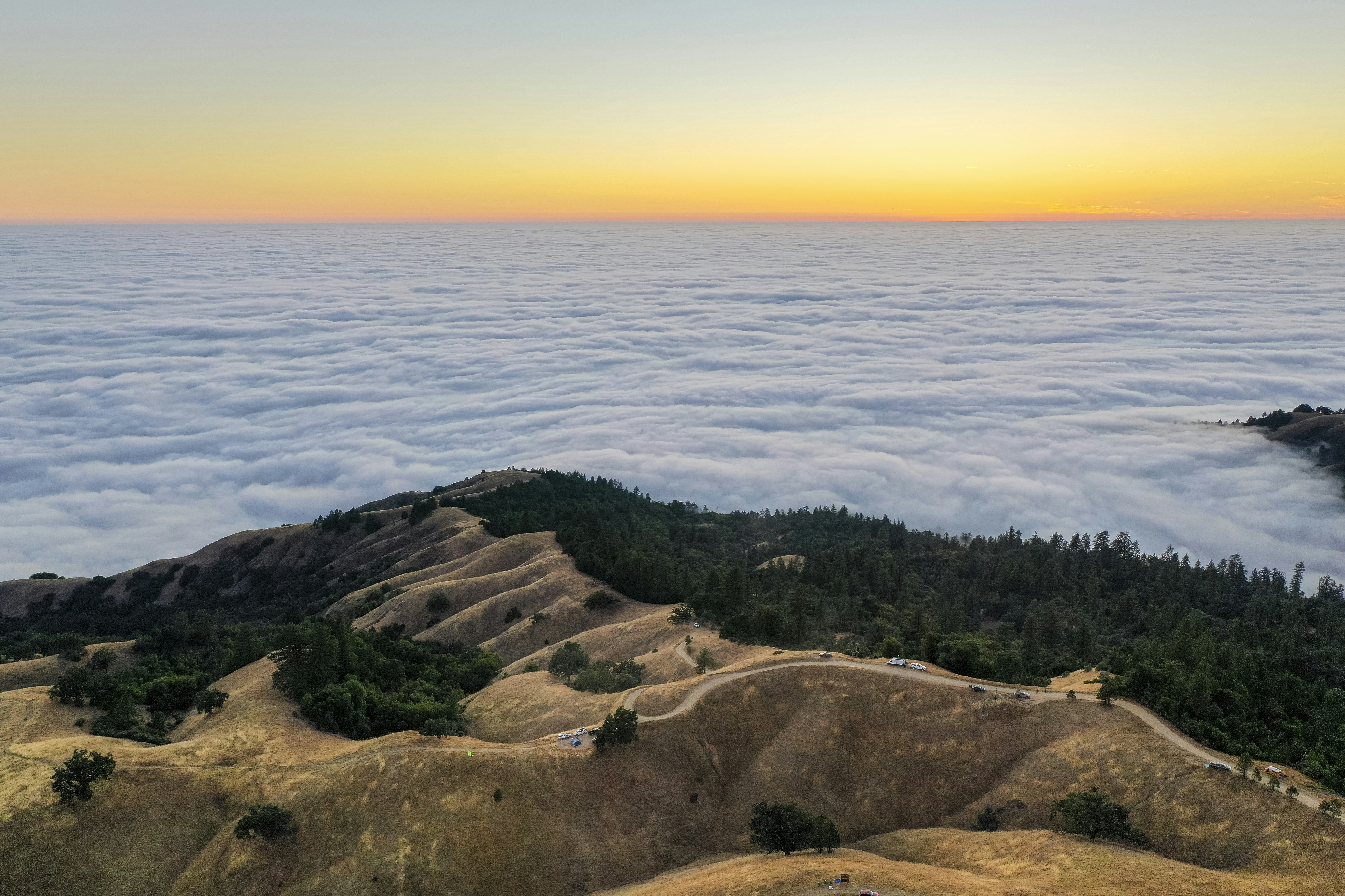 Photo by leo_visions_