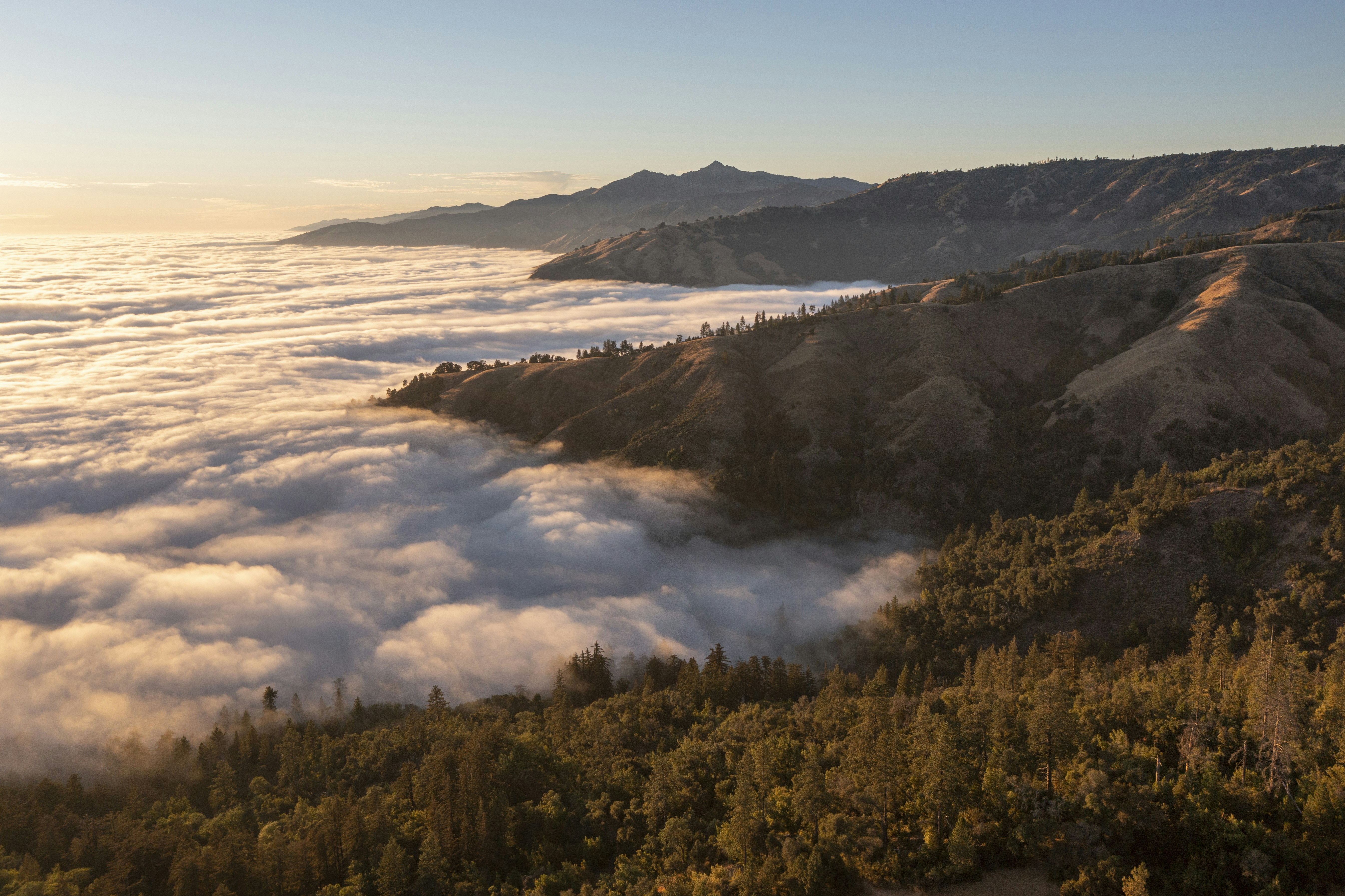 Photo by leo_visions_