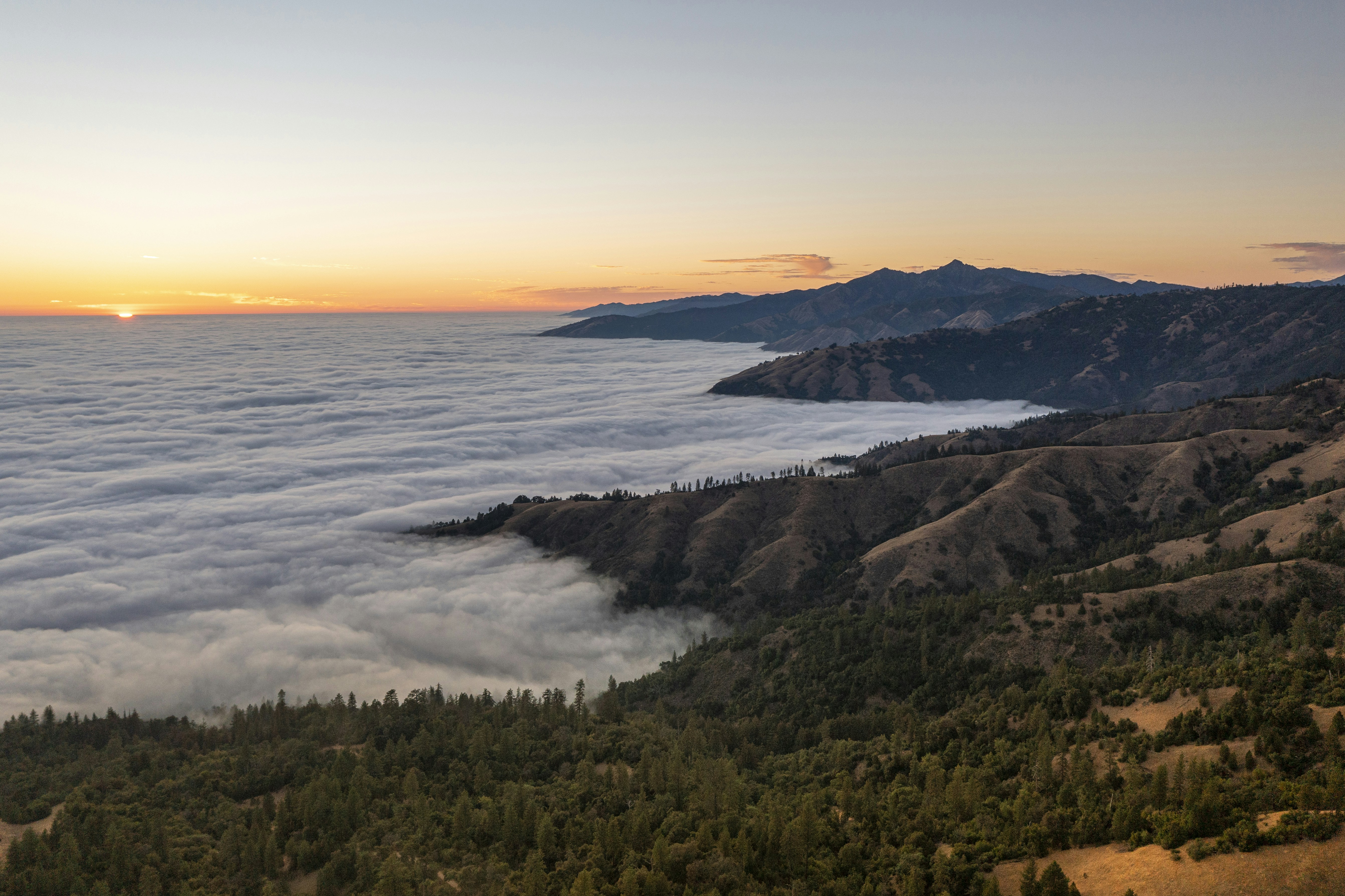 Photo by leo_visions_